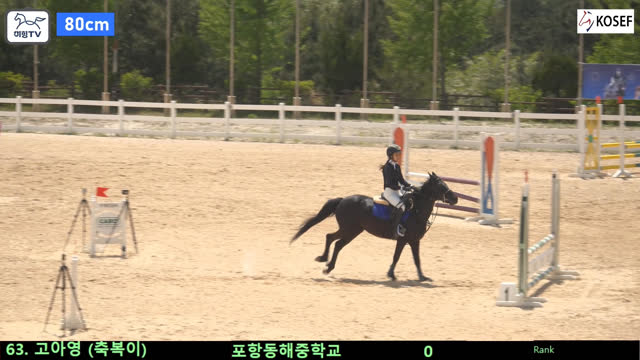 고아영 (축복이) — 2026 춘계 전국학생승마대회 · 장애물 80cm