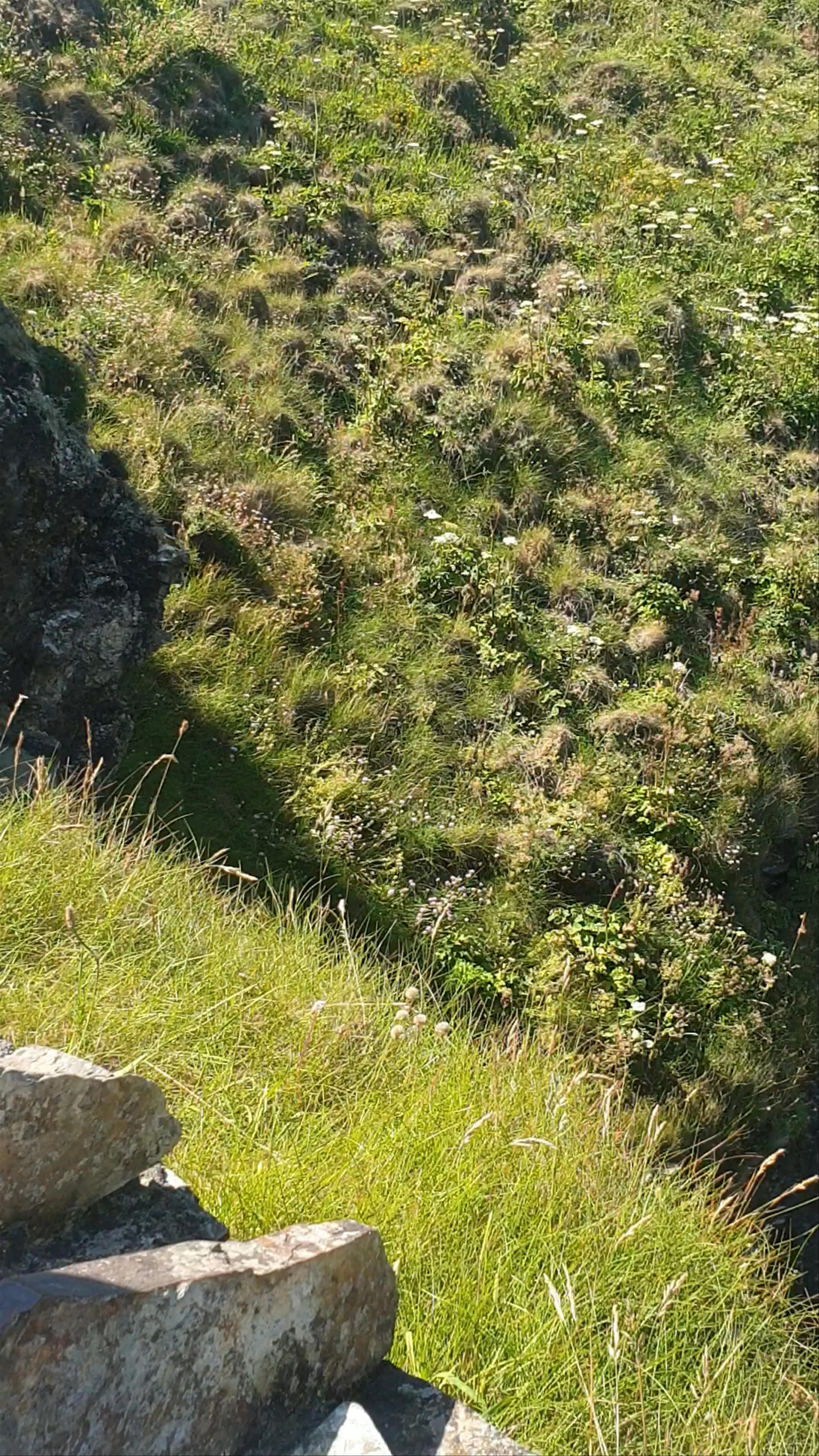 Lundy Bay