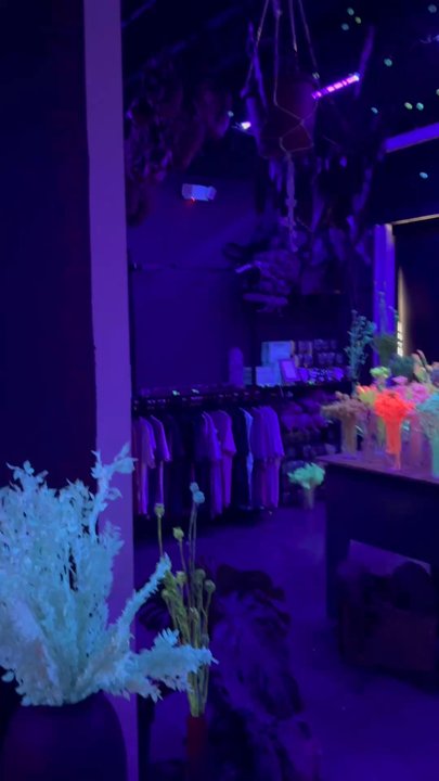 Moonbeam Conservatory - Art Galleries Near Me - Tulsa, Oklahoma