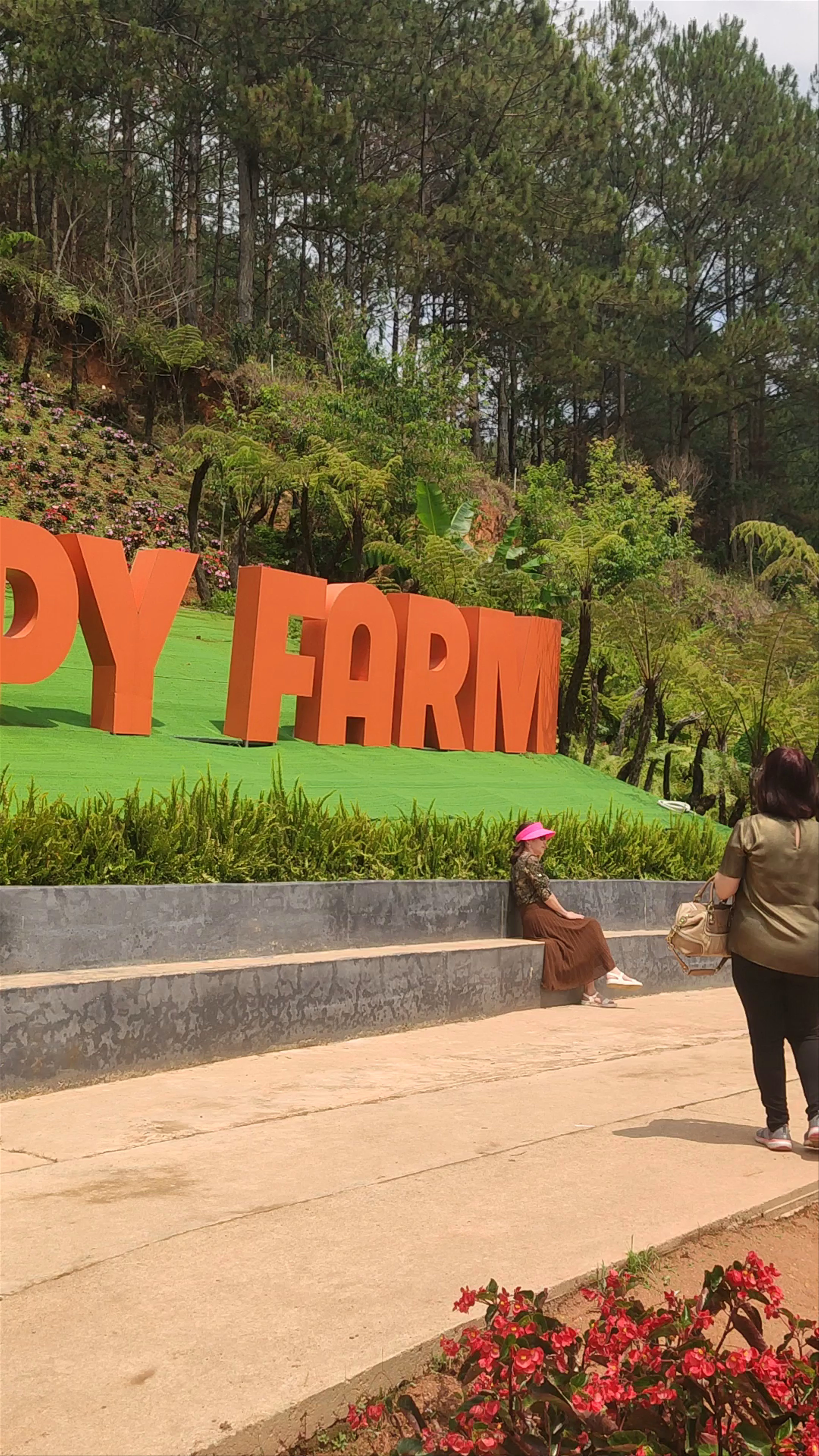 Puppy Farm in Da Lat: A Serene Escape into Nature and Animal Charm
