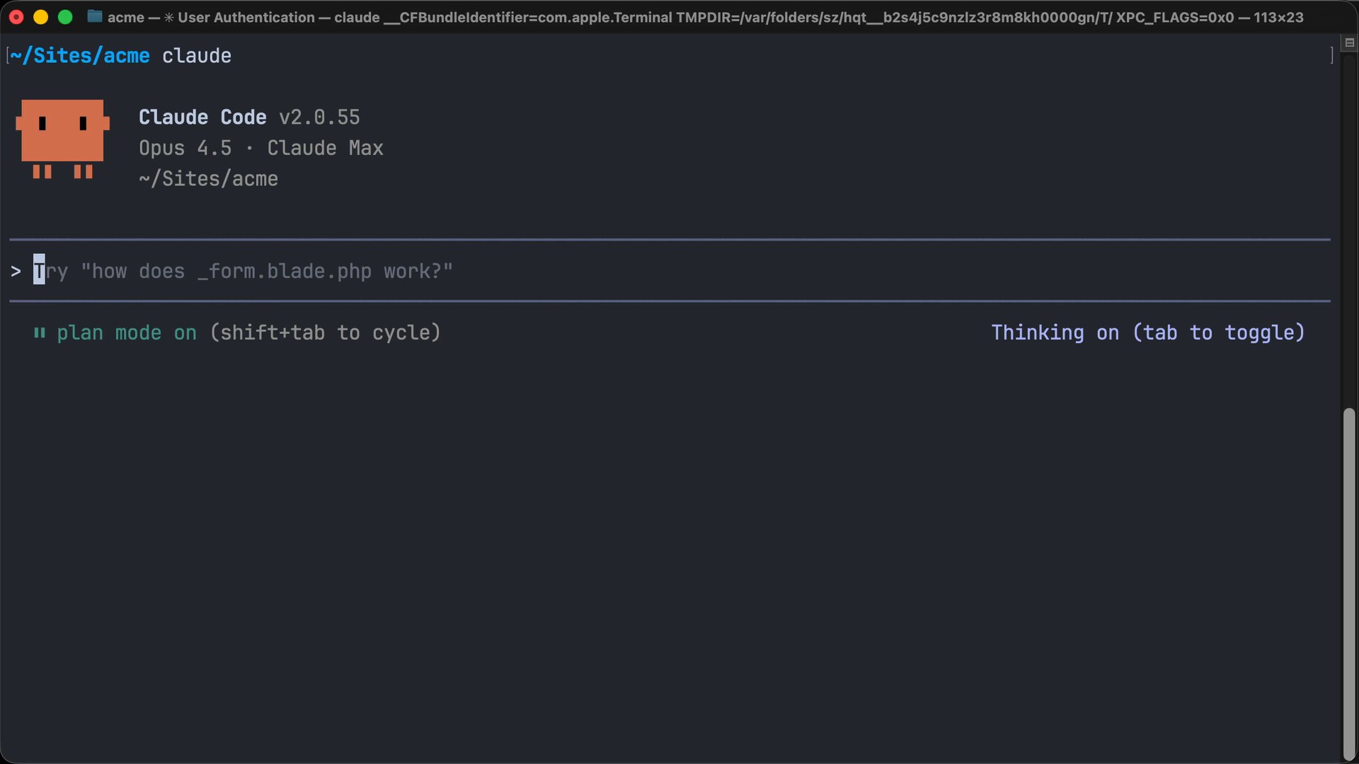 Create a custom slash command in Claude Code