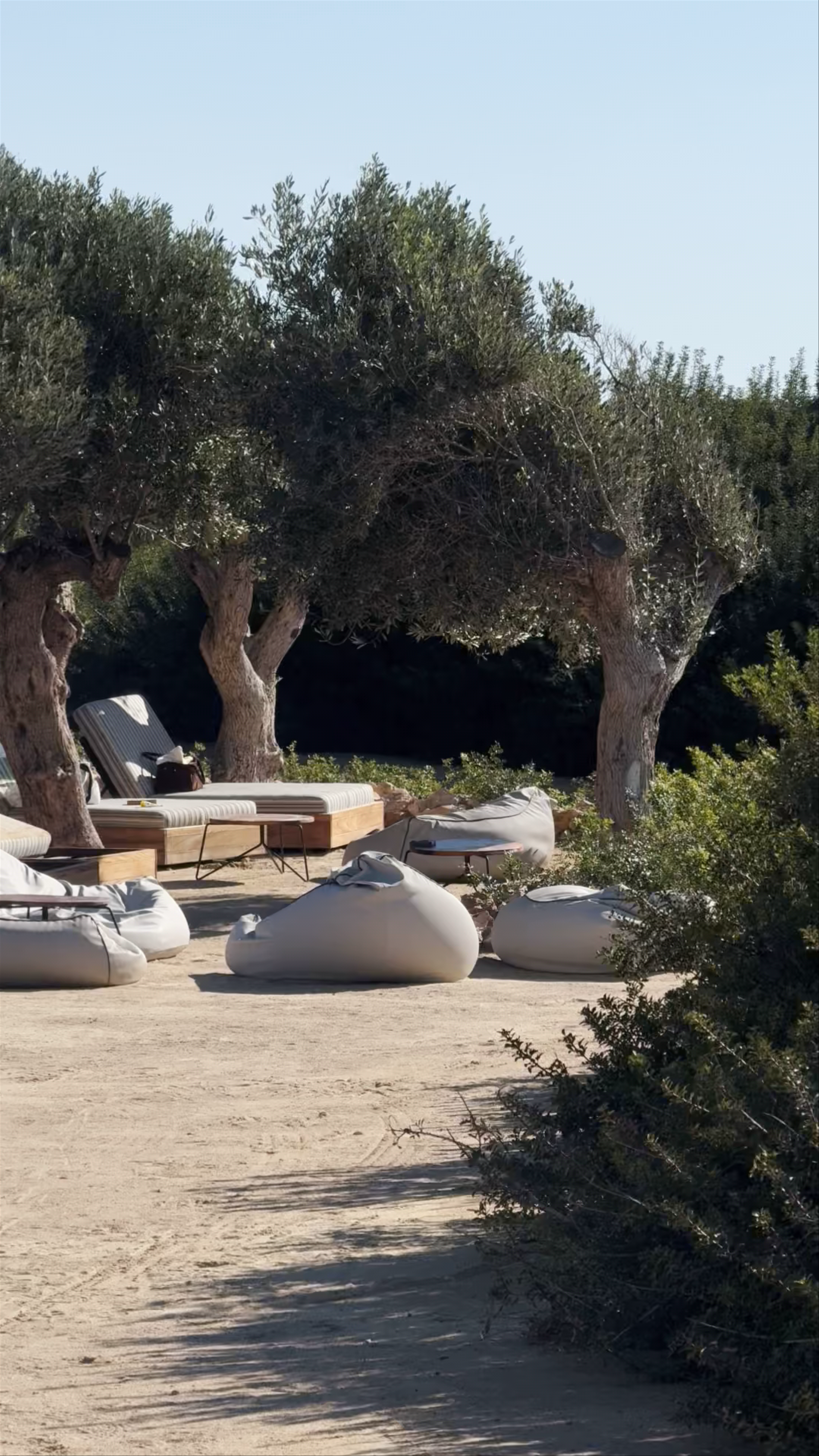 Olive Tree Beach: A Serene Coastal Escape in Pegeia, Cyprus