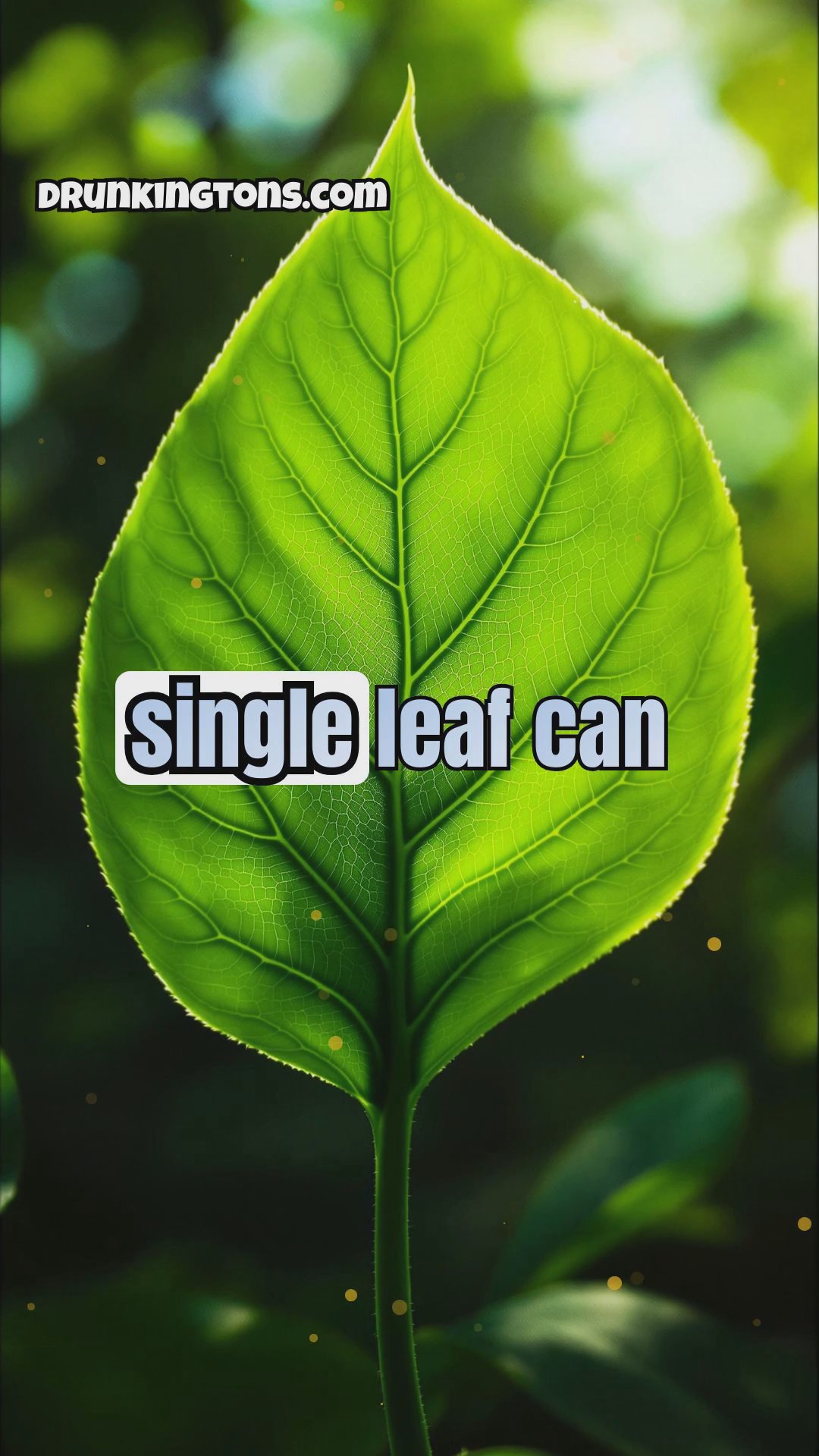 The World of Plants: From Photosynthesis to Medicinal Uses