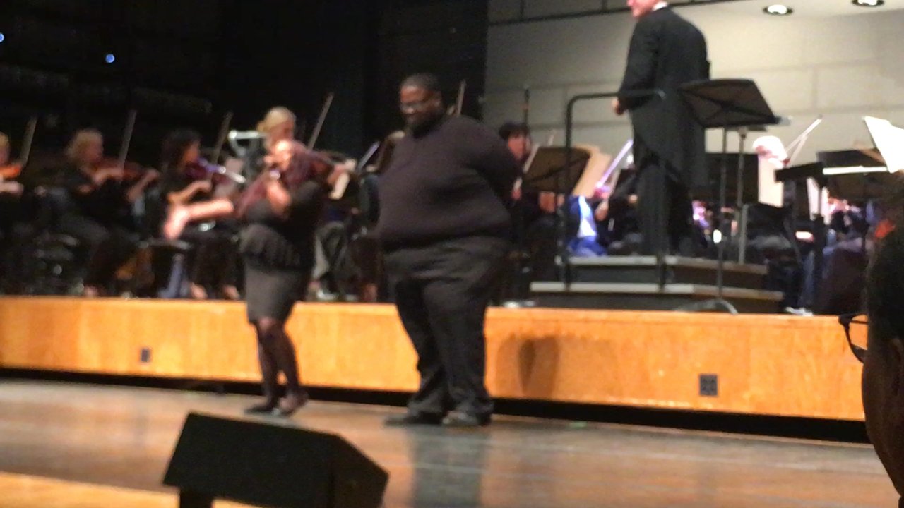Evanston Symphony Orchestra - Musicians Near Me