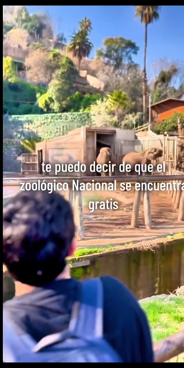 Zoologico