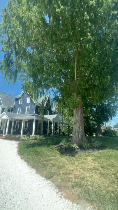 The Inn Berlin - Pulling up to the lovely home .. taking a trip to Assateague Island.. Mermaid Museum nearby The Inn - Bed & Breakfast Near Me - Berlin, Maryland