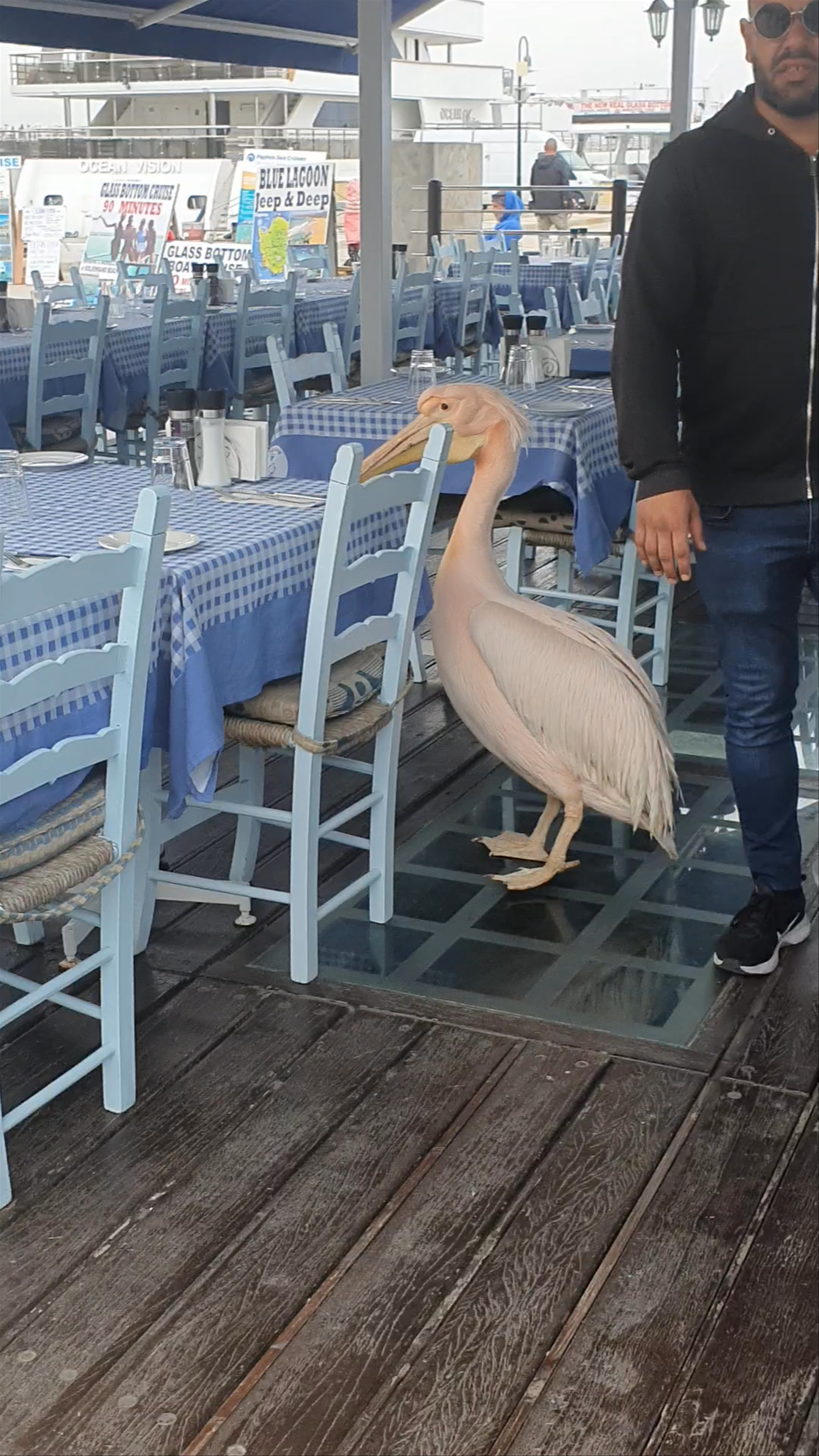 Pelican Restaurant