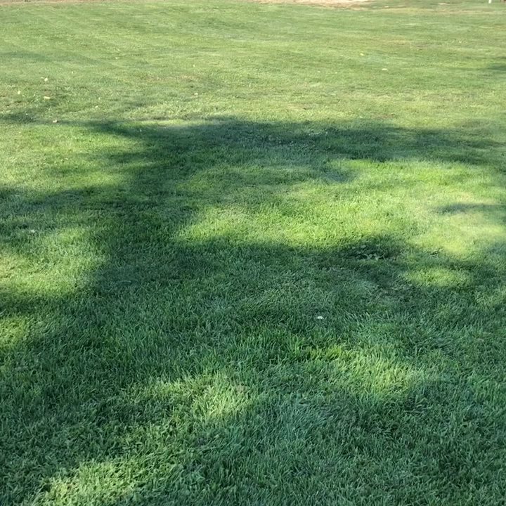 Bishop Dog Park - Woola loves it too!3 - Dog Parks Near Me - Bishop, California