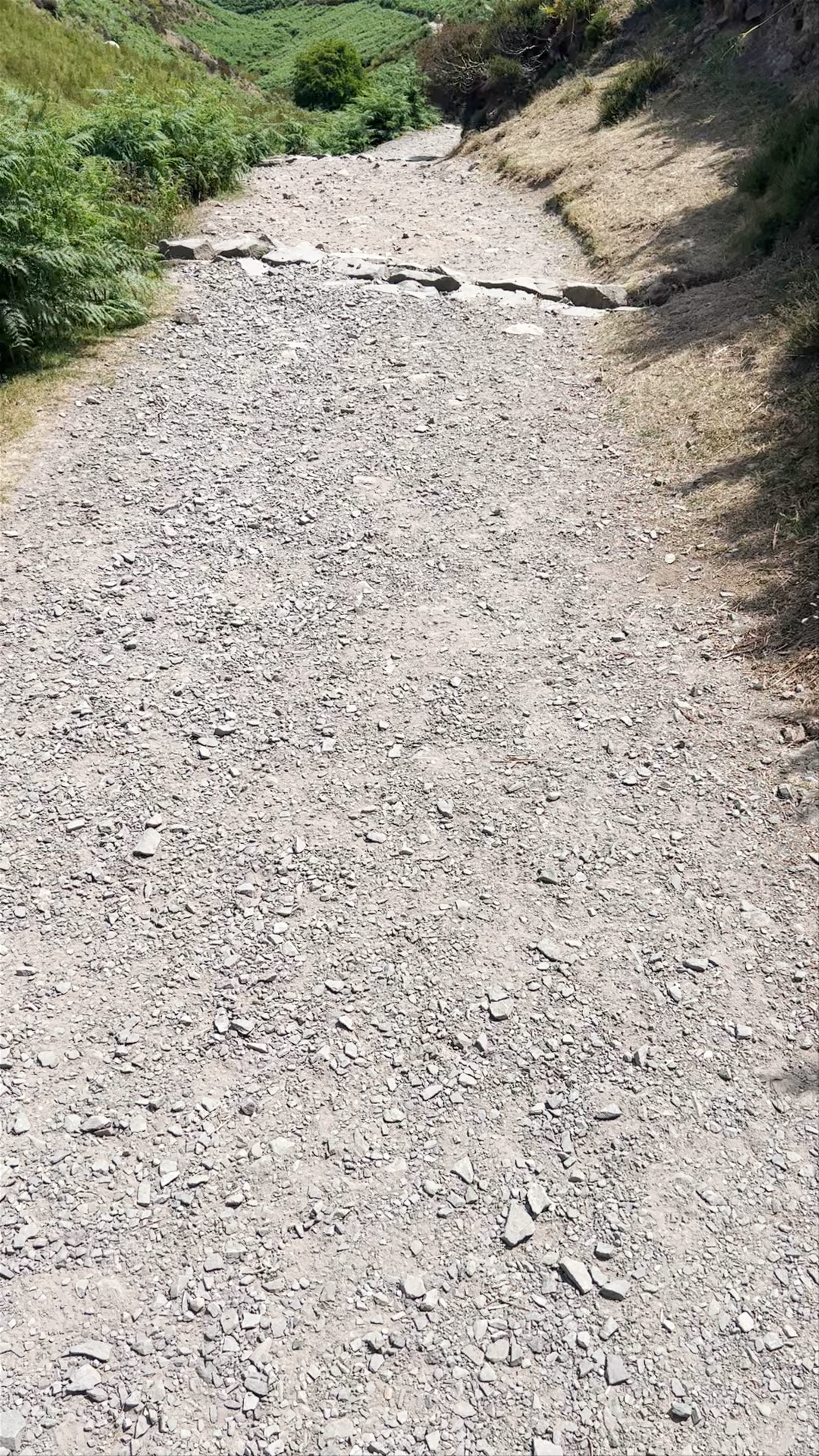 Carding Mill Valley and the Long Mynd