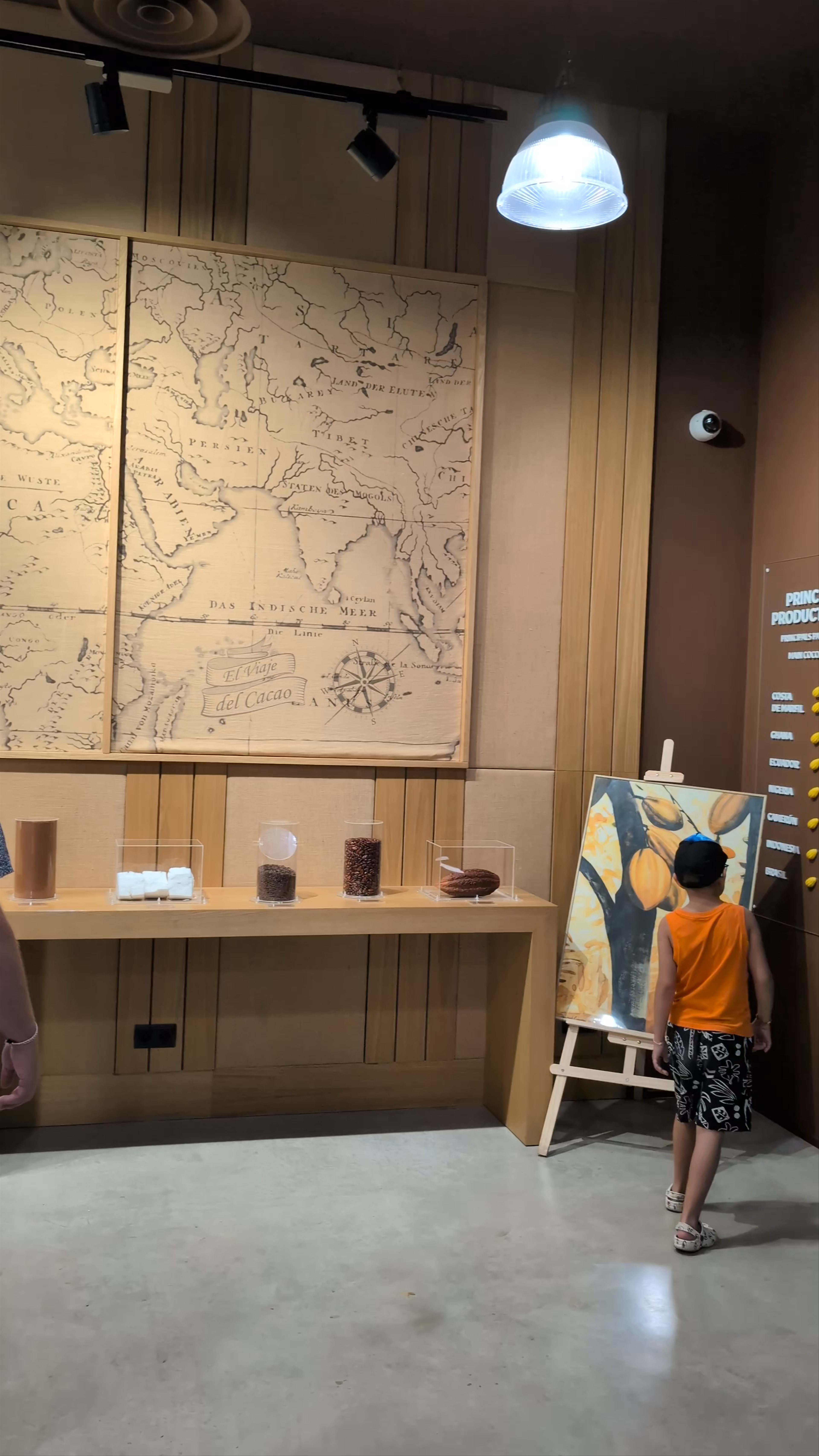 Museo del Chocolate Valor: Discover the Journey of Cacao in La Vila Joiosa