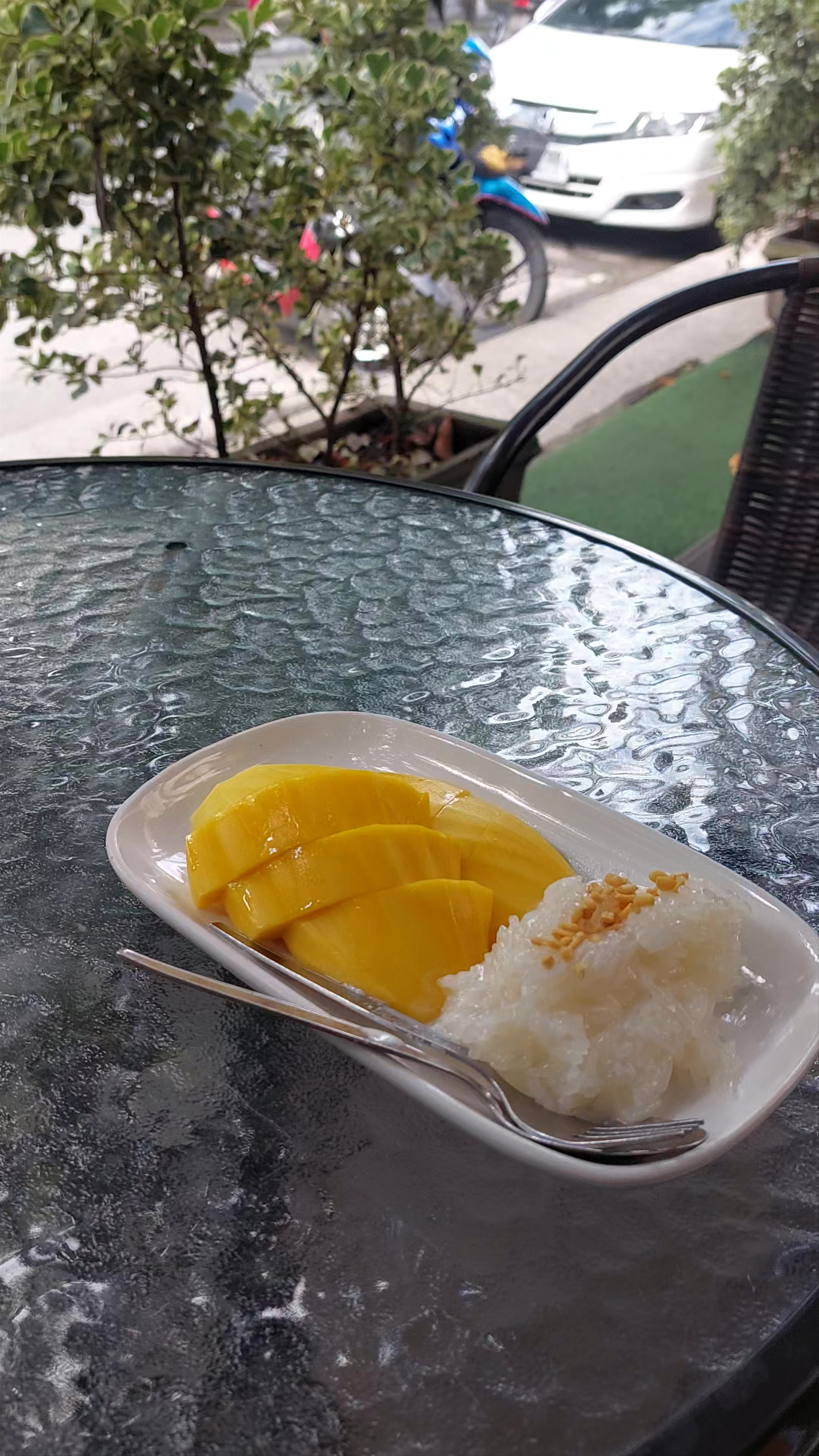 Mana's Best Mango Sticky Rice Experience in Chiang Mai
