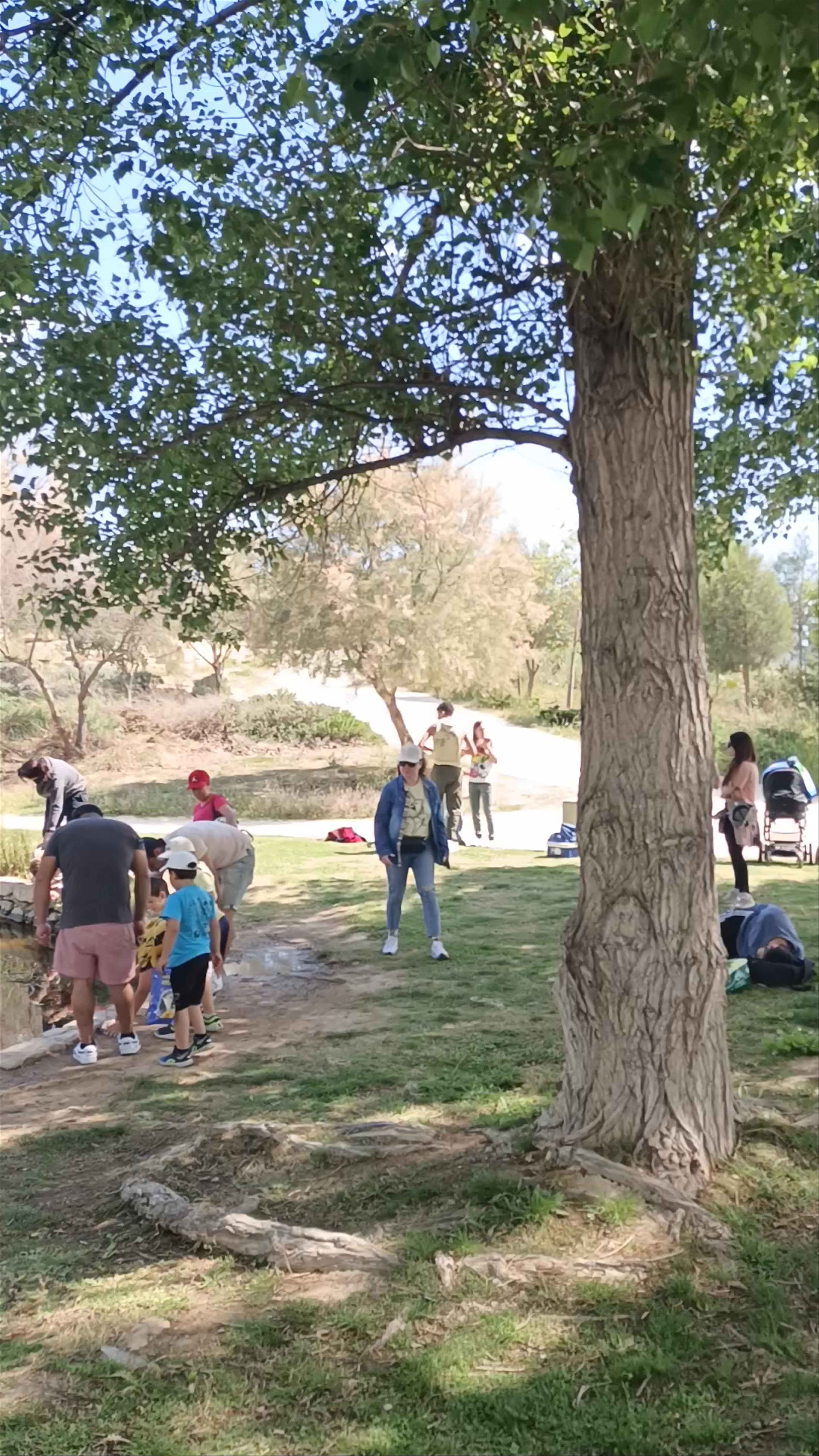 Parque Adolfo Suárez