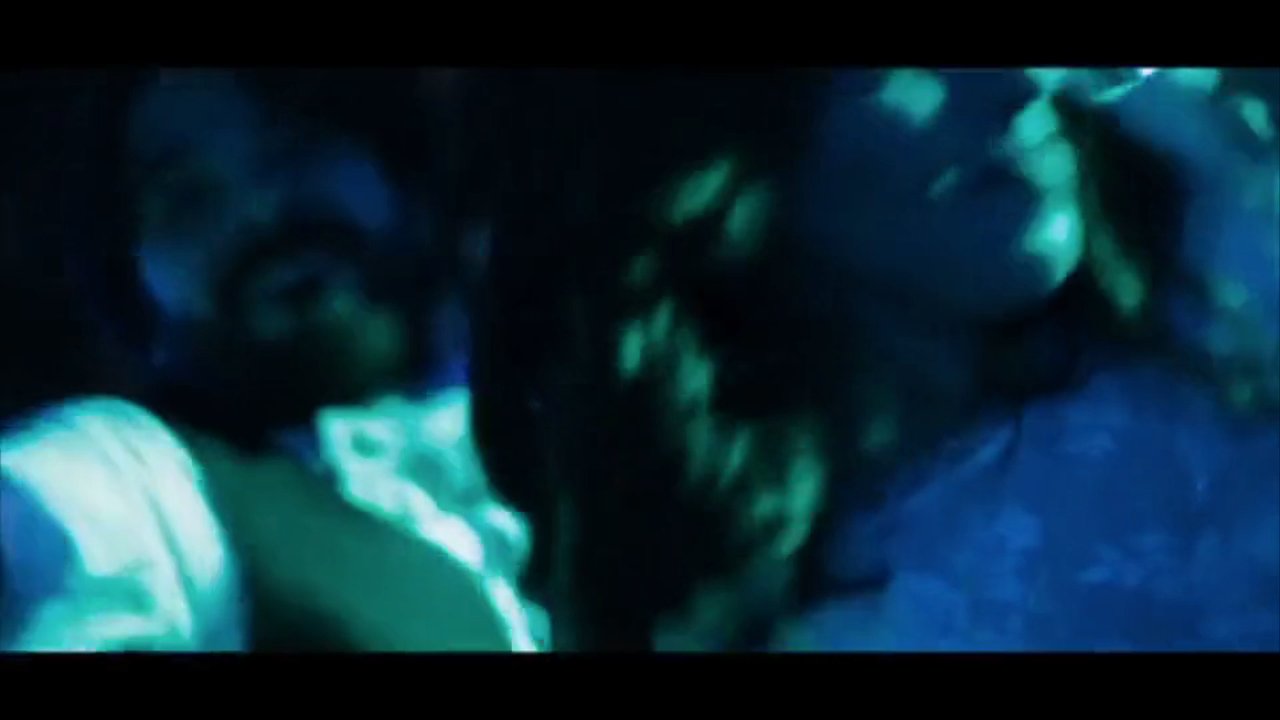 The Puppets - Wedding in Arezzo - video