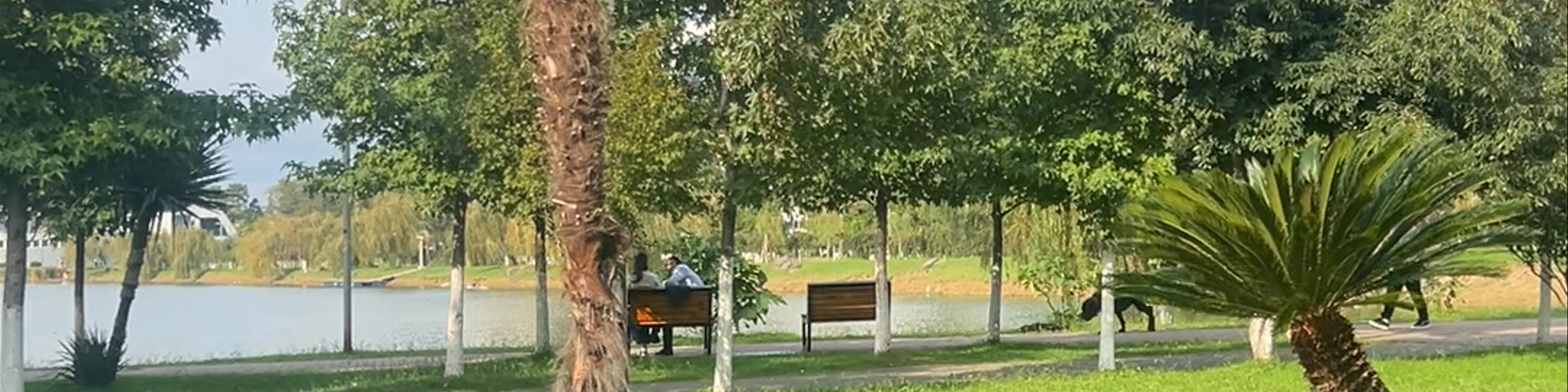 ბასუნუს & BASUNUS