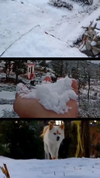 Photo of Budya pani❤️