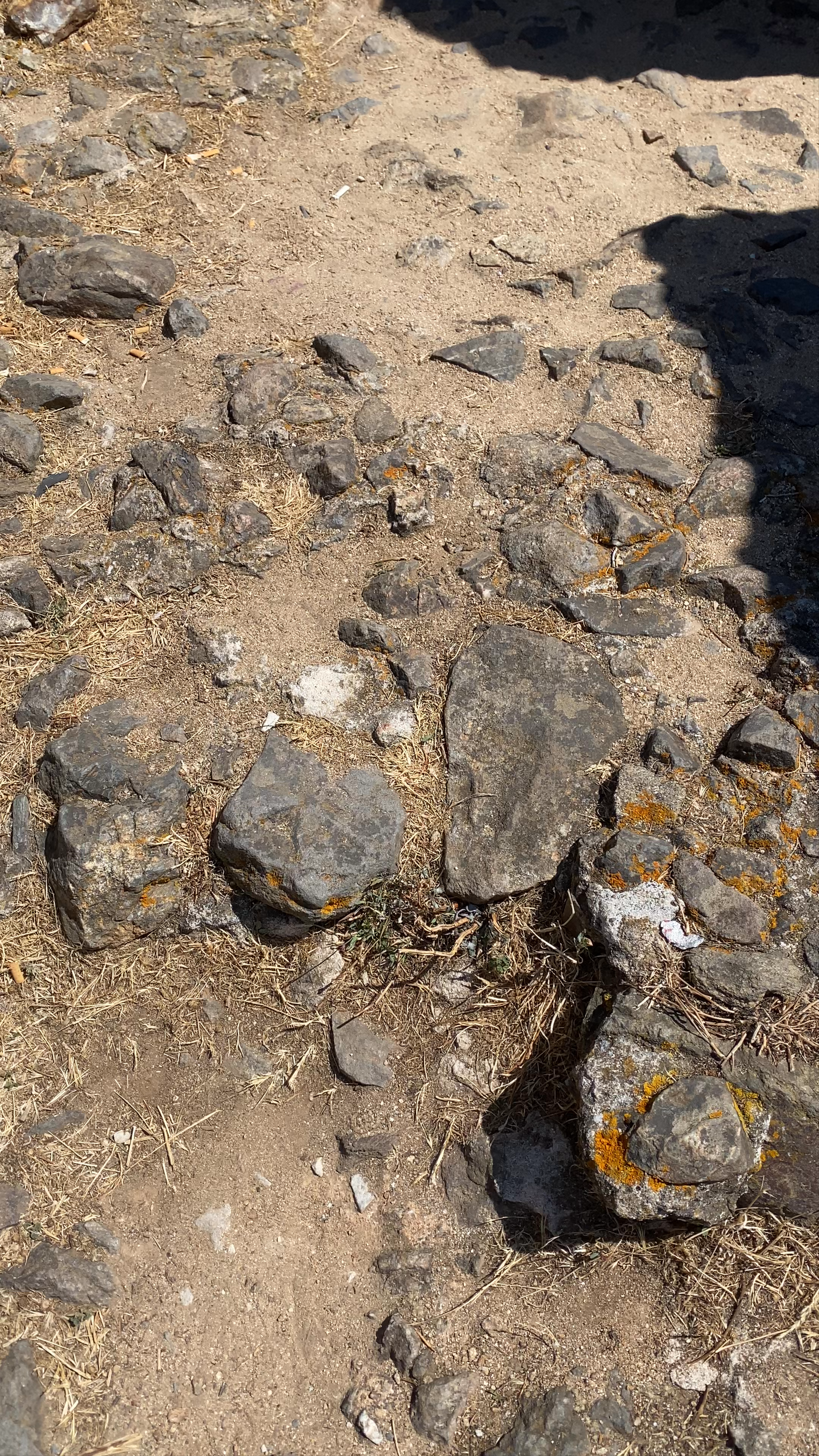 Castelo de Montemor-o-Velho