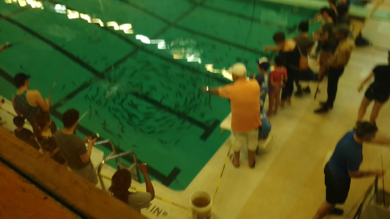 Scadding Court Community Centre - Someone actually catching a trout in the lower right. - Recreation Centers Near Me - Toronto, Ontario