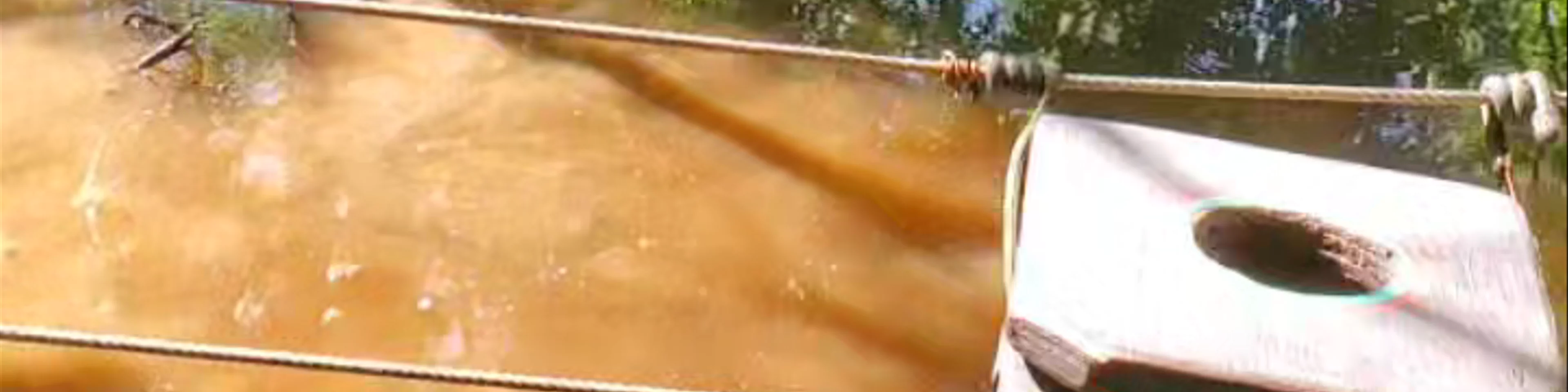 Cajun Pride Swamp Tours