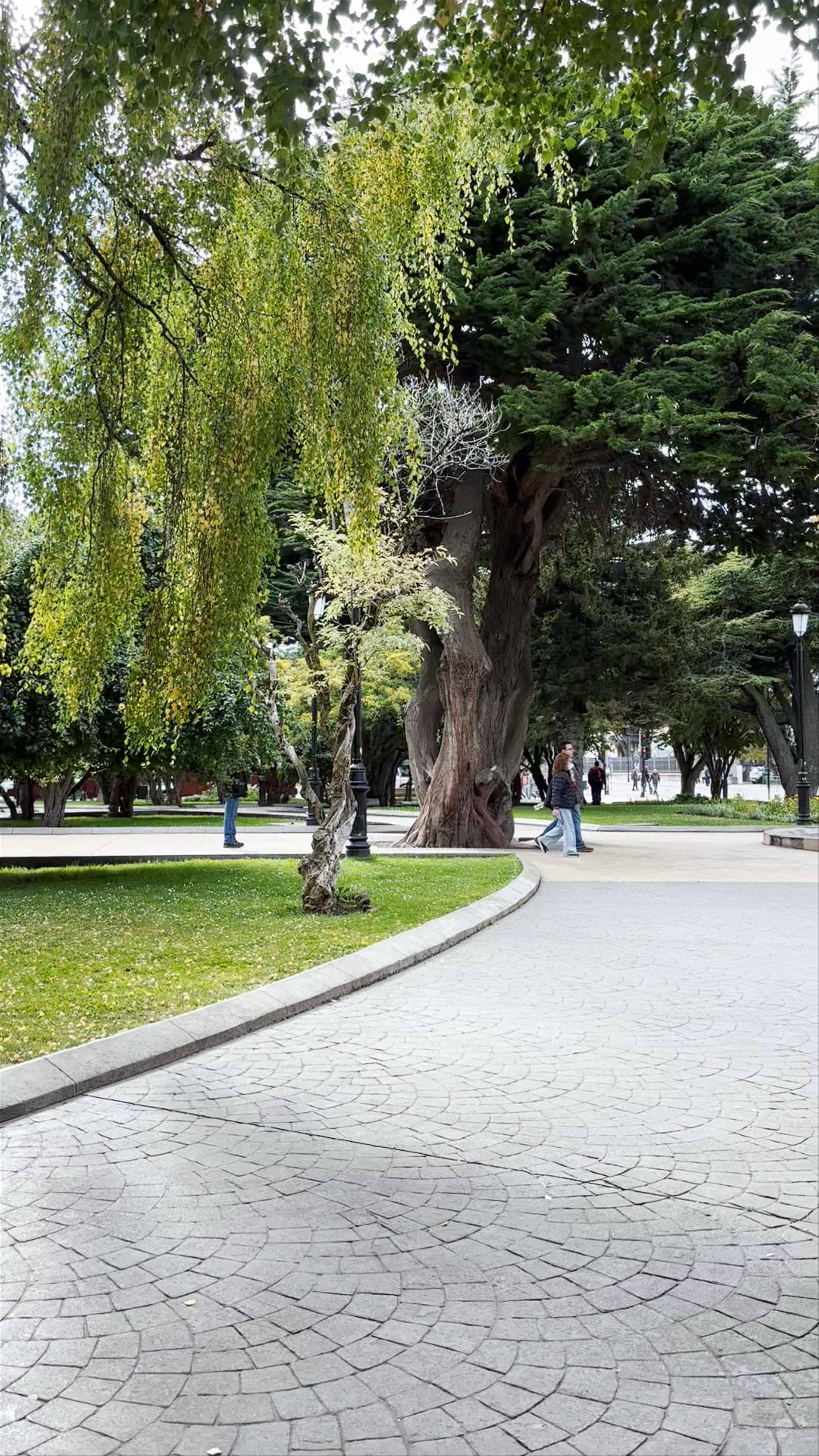 Plaza de Armas Muñoz Gamero - Plaza Benjamín Muñoz Gamero