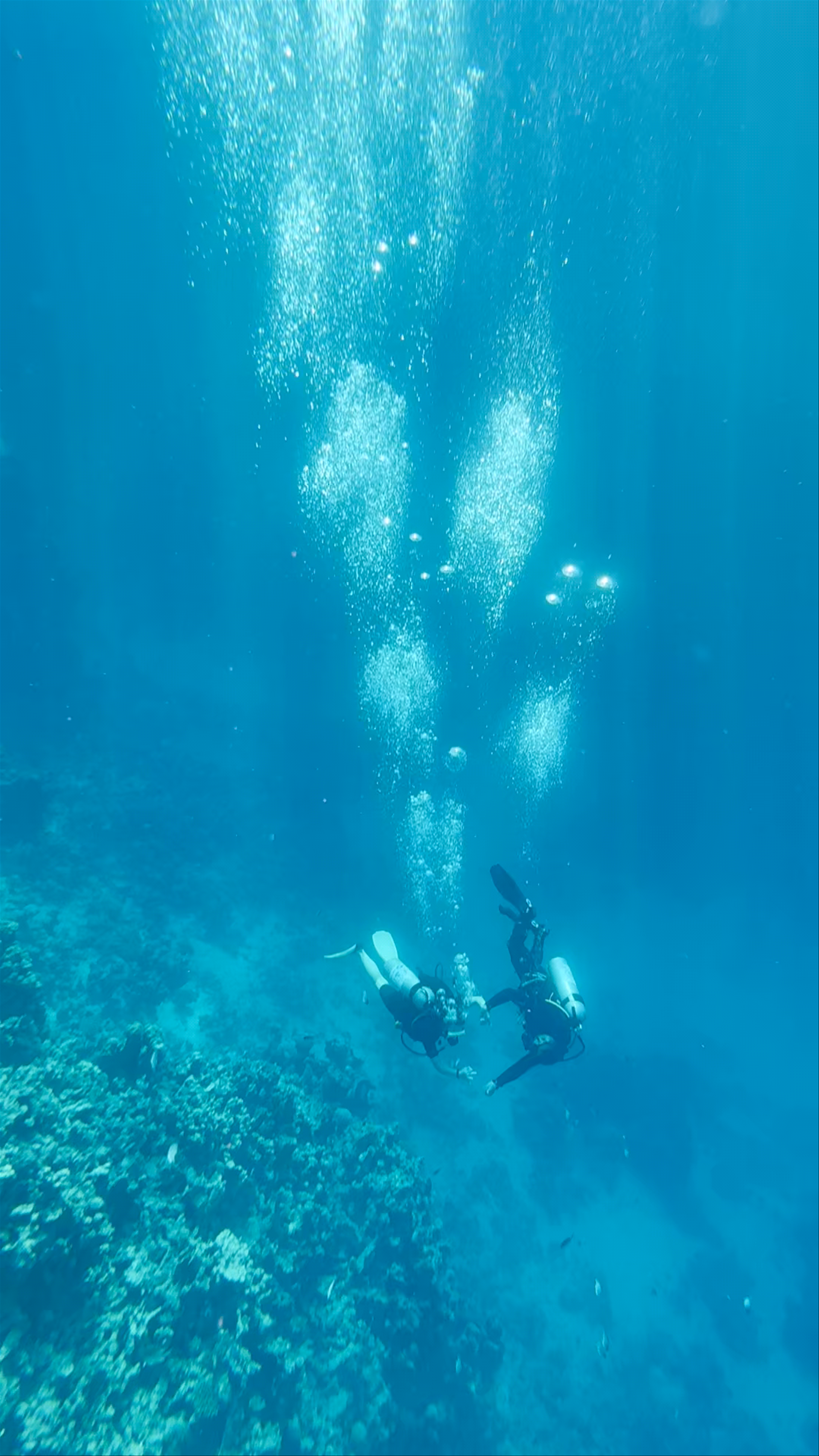 Abu Talha canyons system