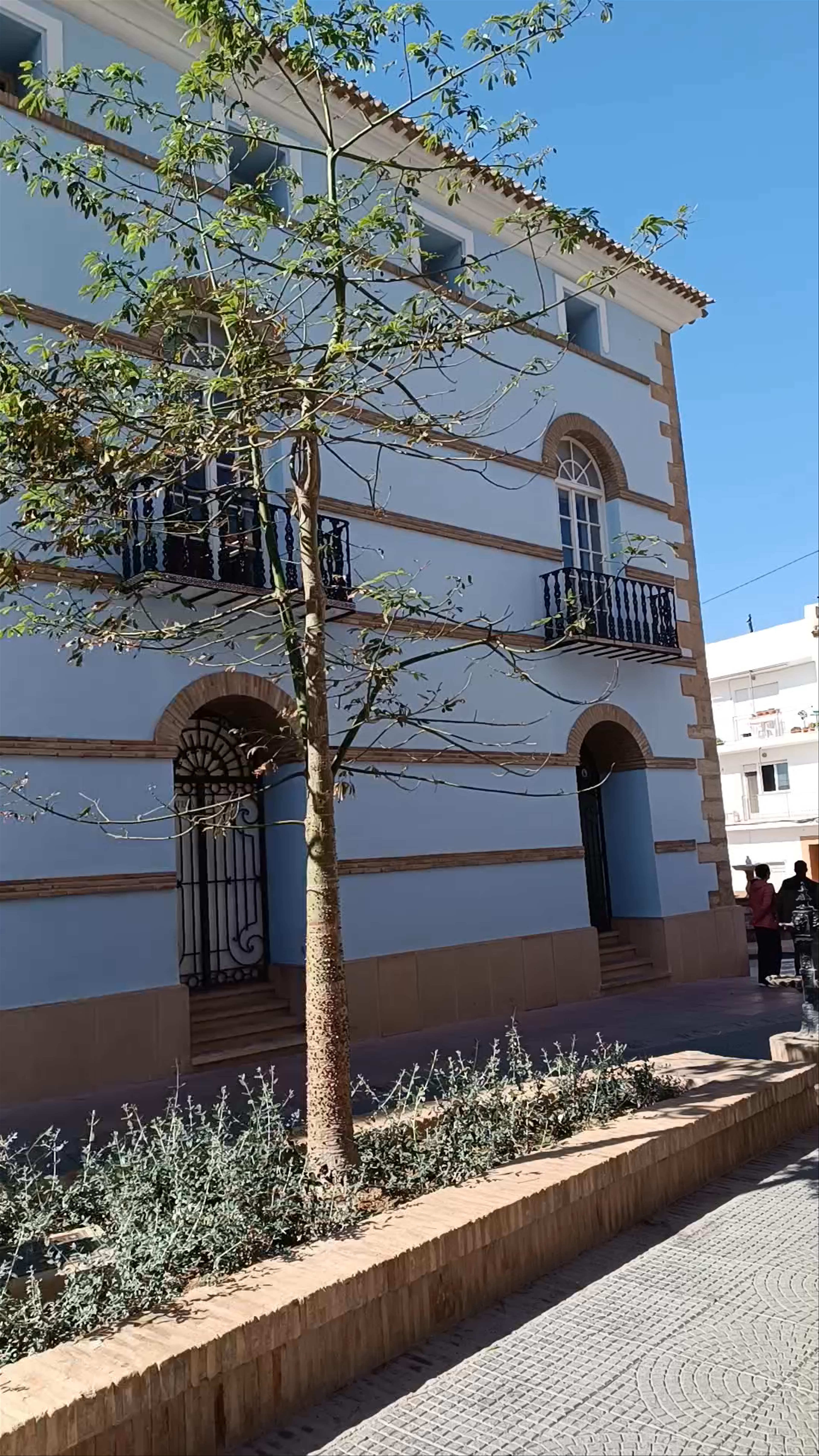 Centro Cultural Y Biblioteca Plaza Vieja