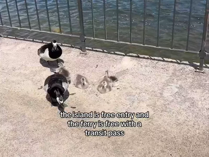 Tourism Board - Helsinki on a Budget