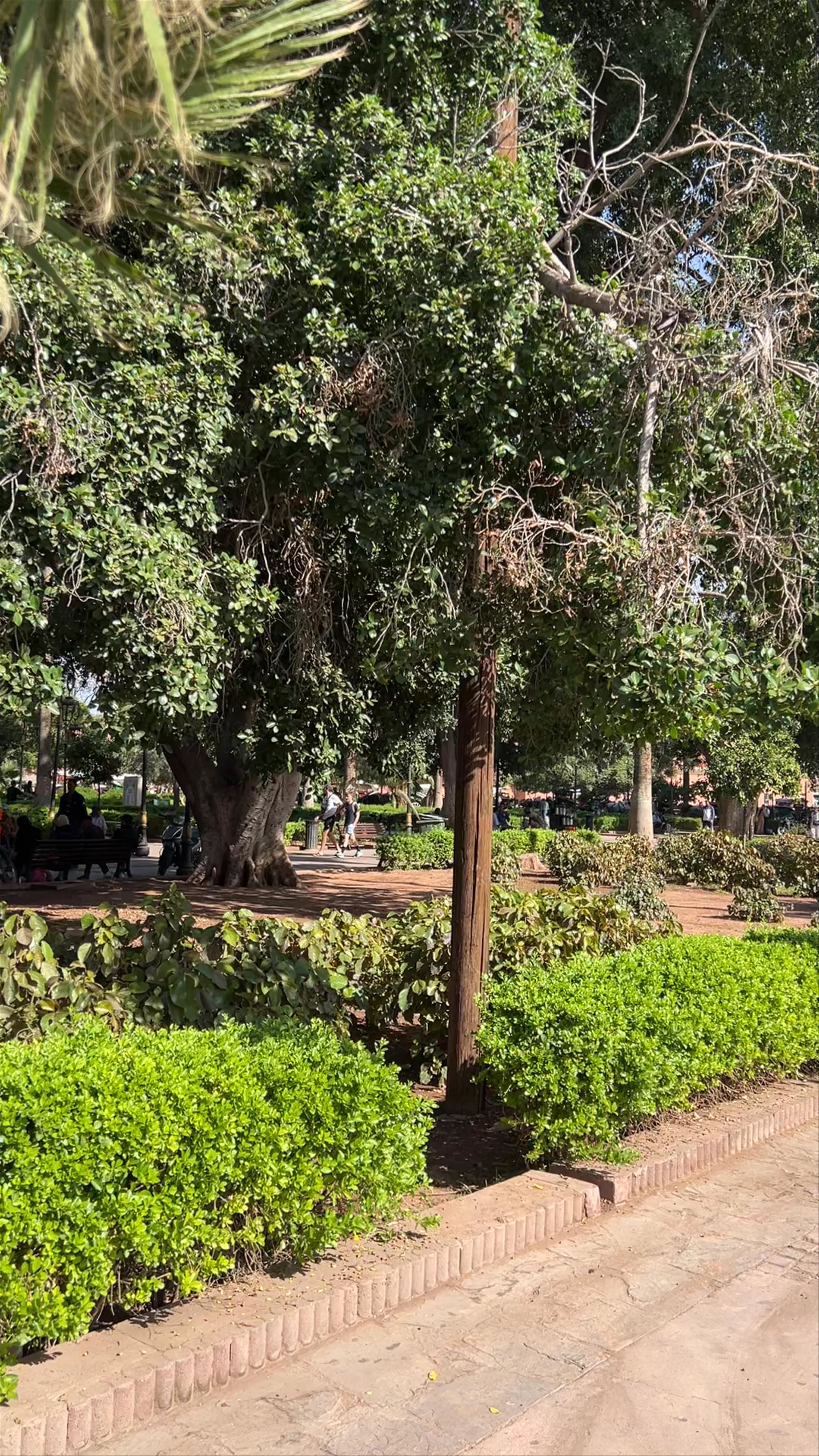 Park Arsat Mouly Abdeasalam Garden