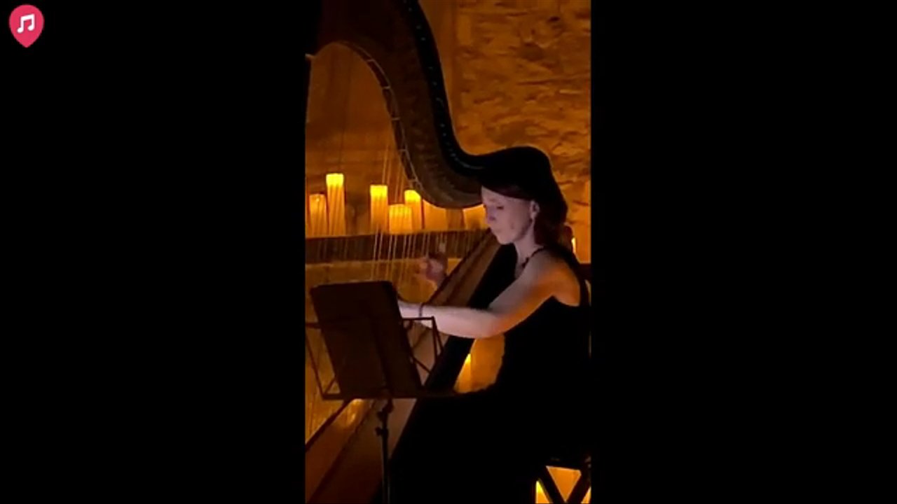 The Milan Harpist - Live Showreel 2026 - video