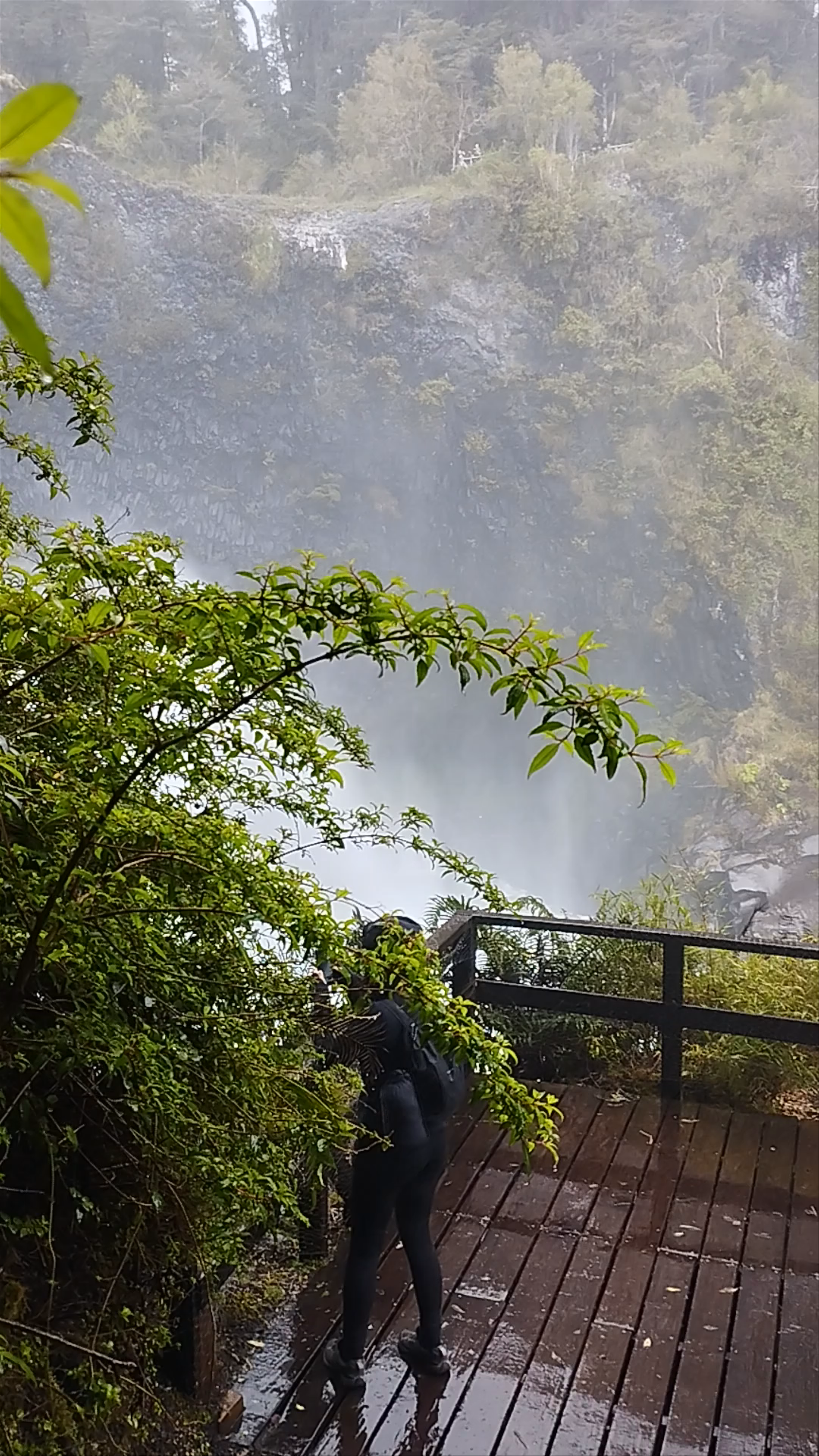 Salto Huilo Huilo Waterfall Immersed in the Green Forest of Neltume, Chile