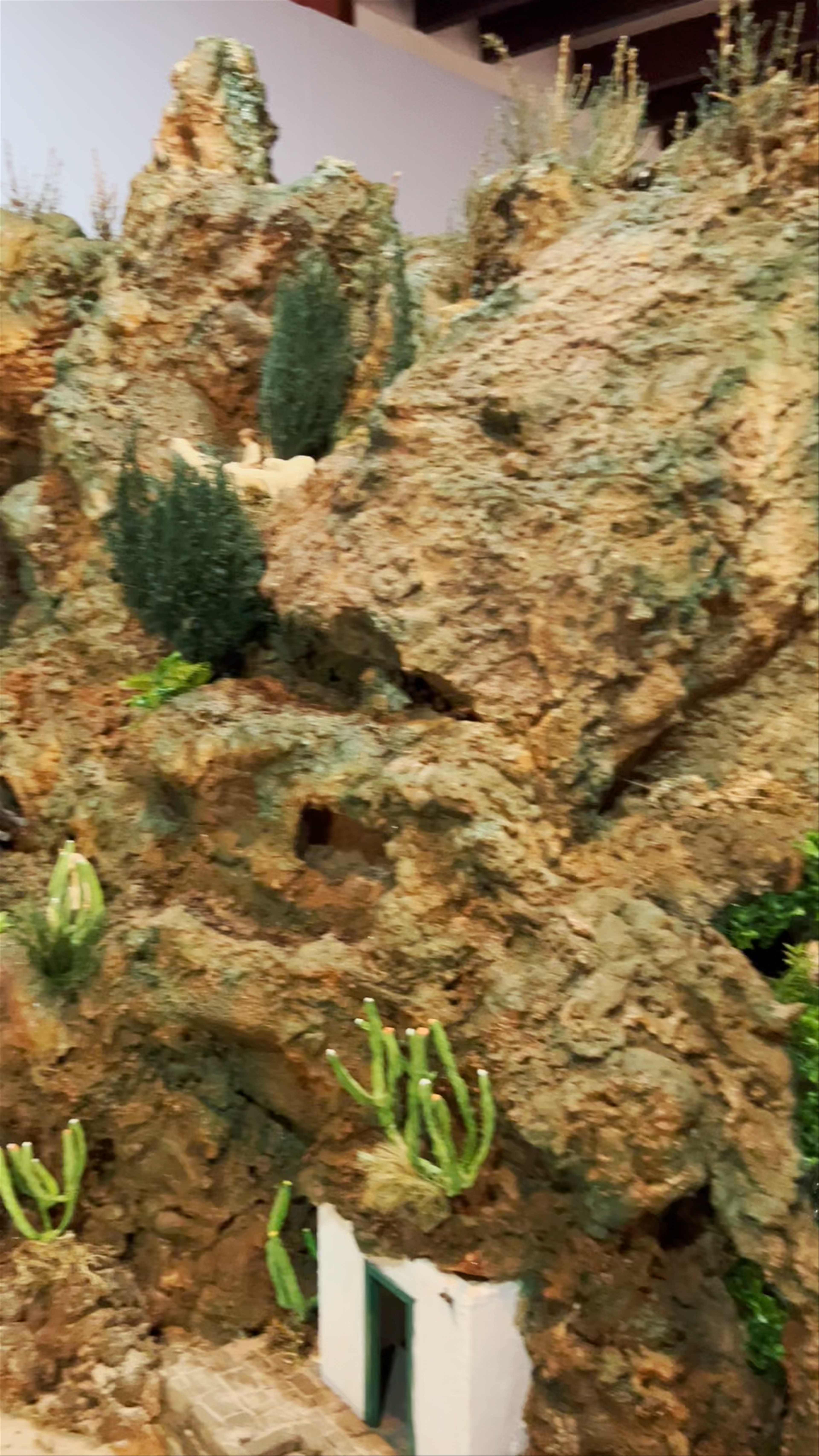 Parque Municipal de Arucas