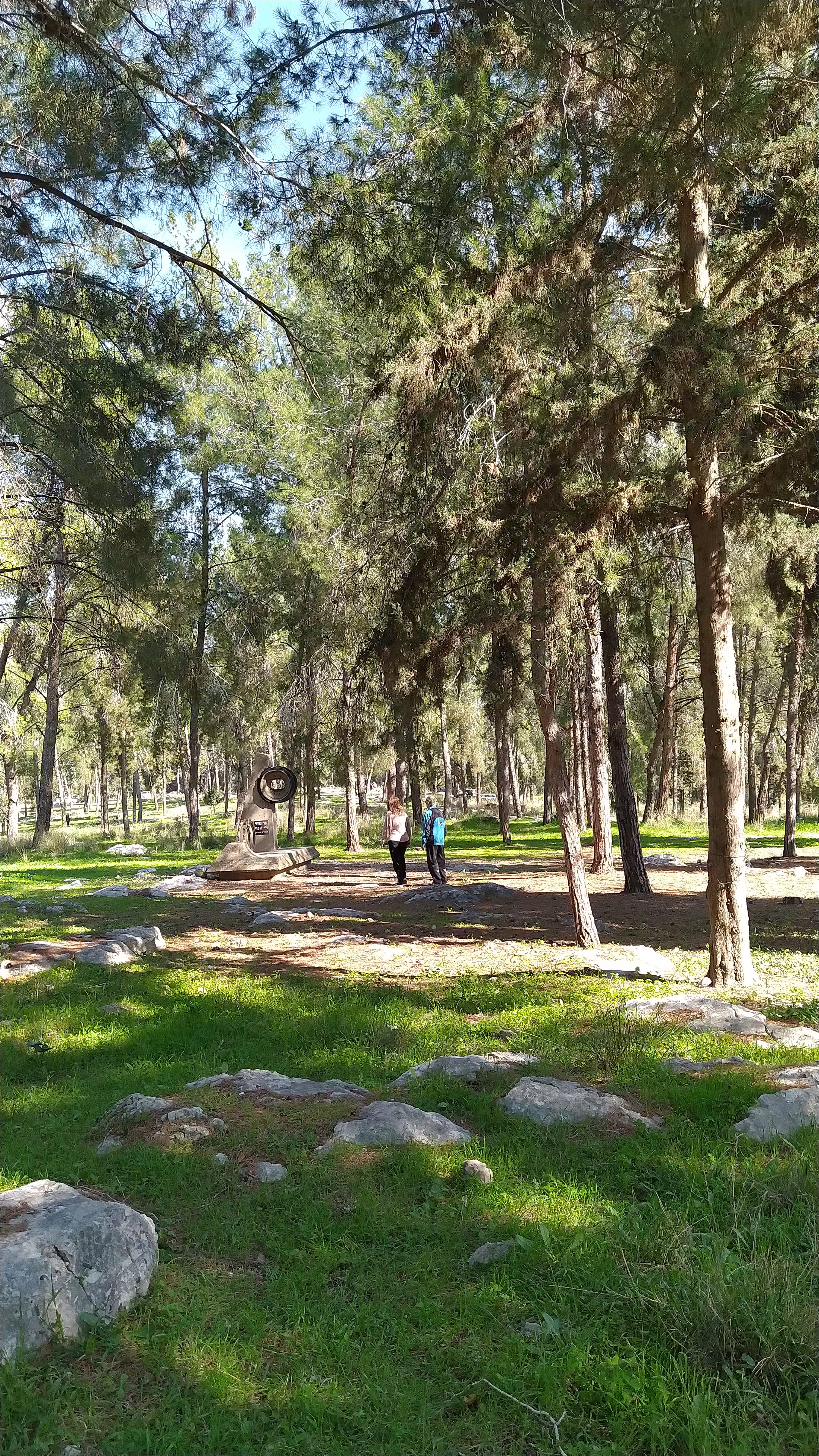 Hameginim forest -- יער המגינים