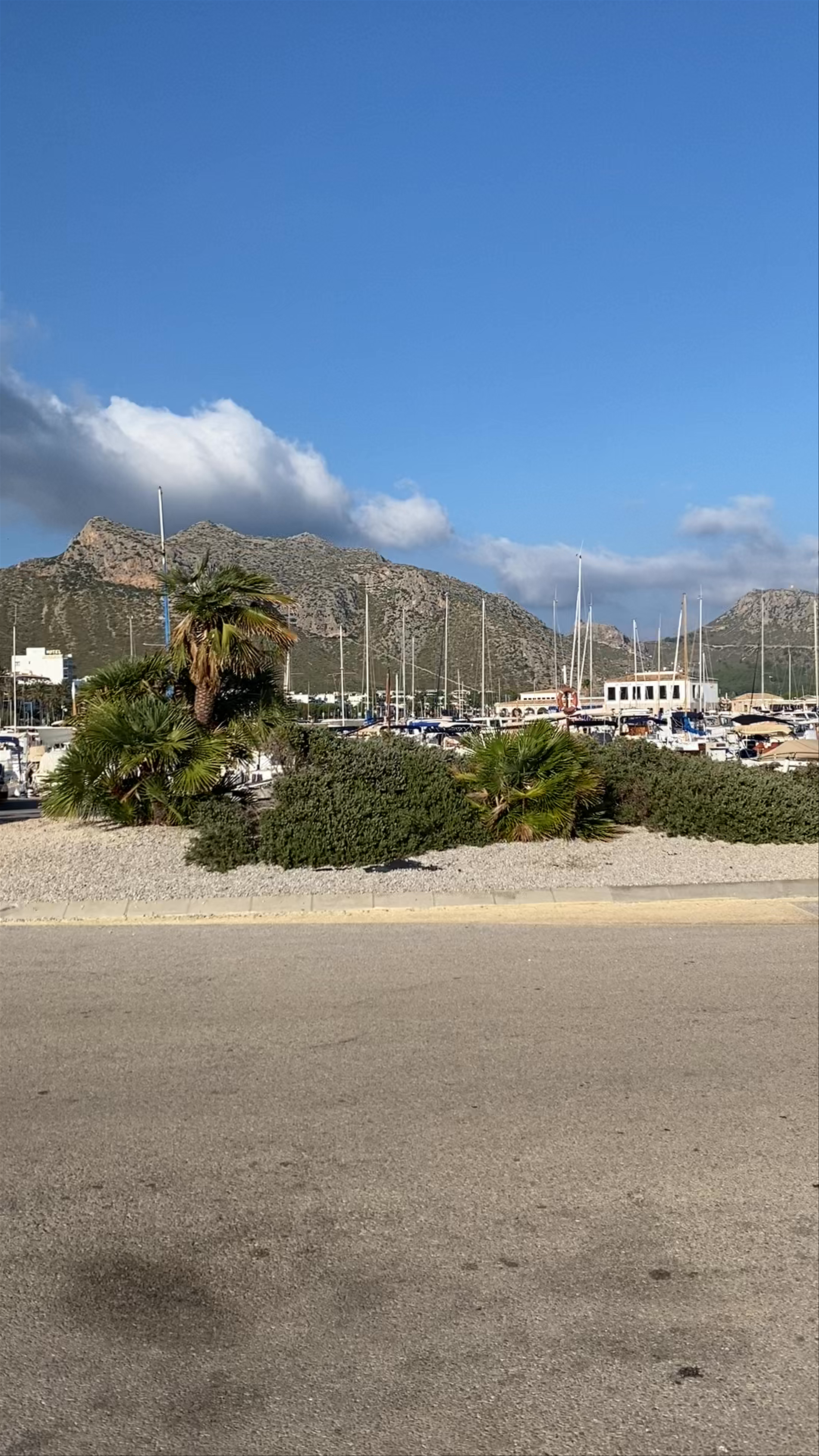 Platja del Port de Pollença
