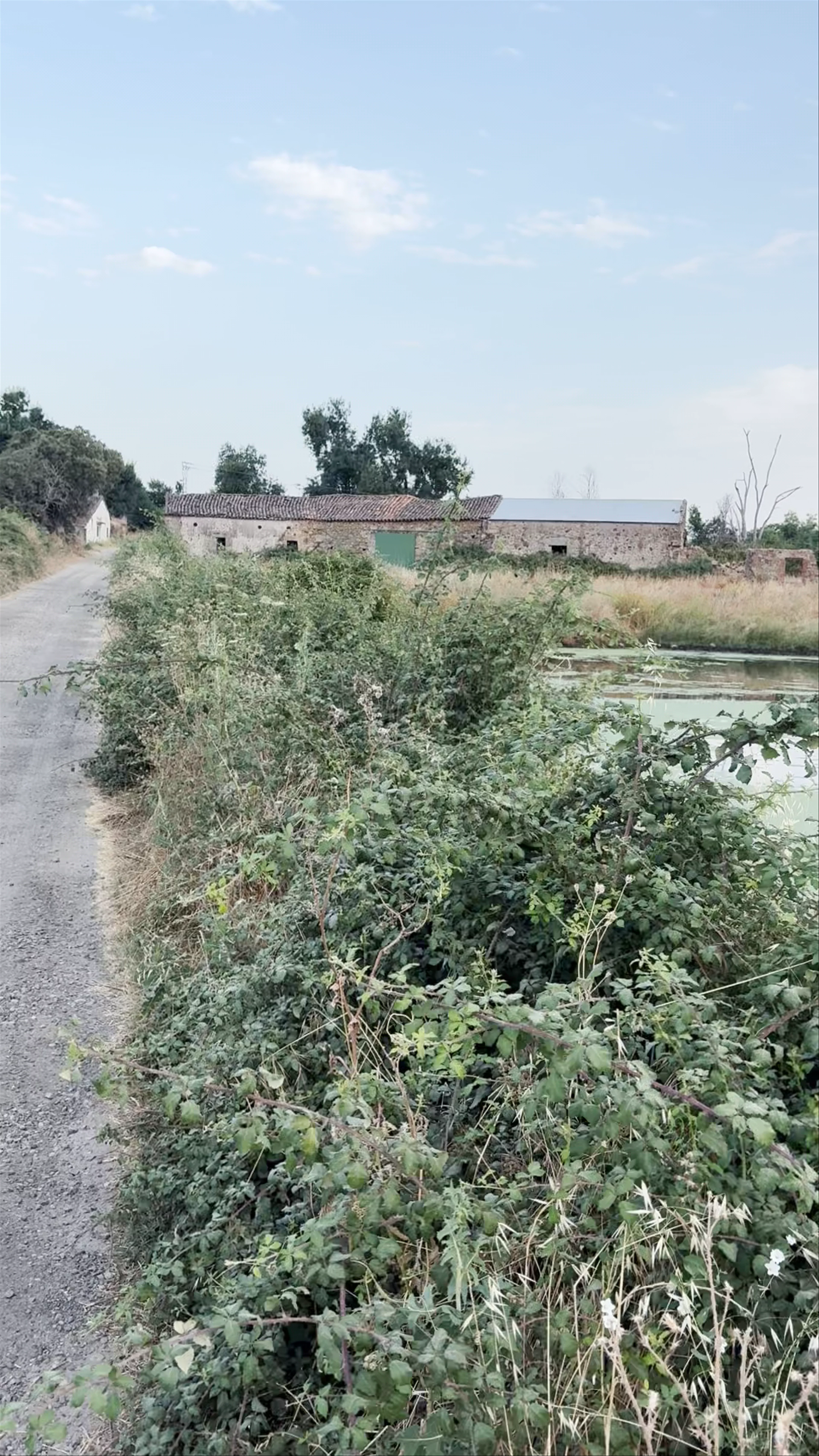 Tentadero de Oliva