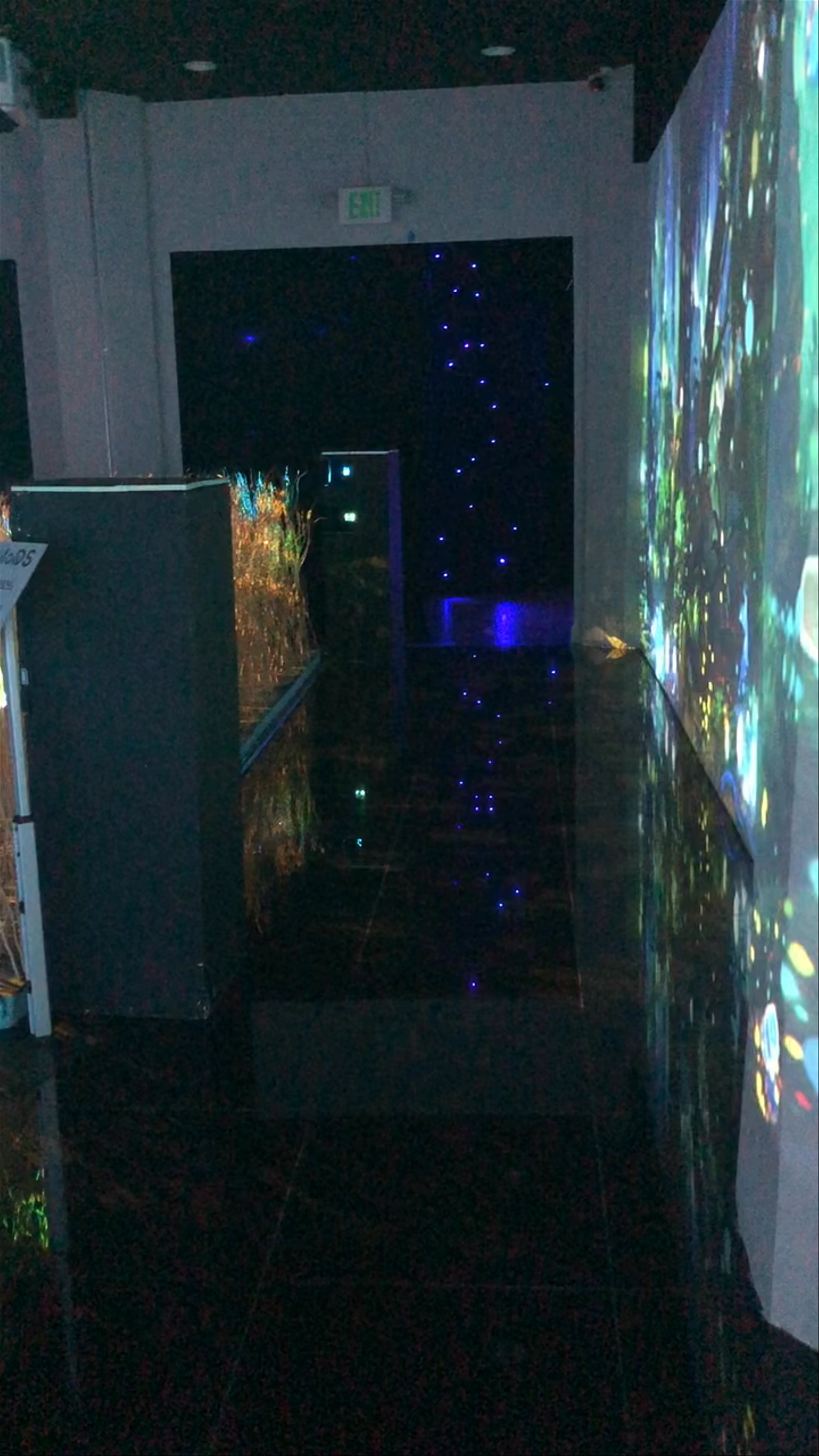 Museum of Dream Space (MODS)