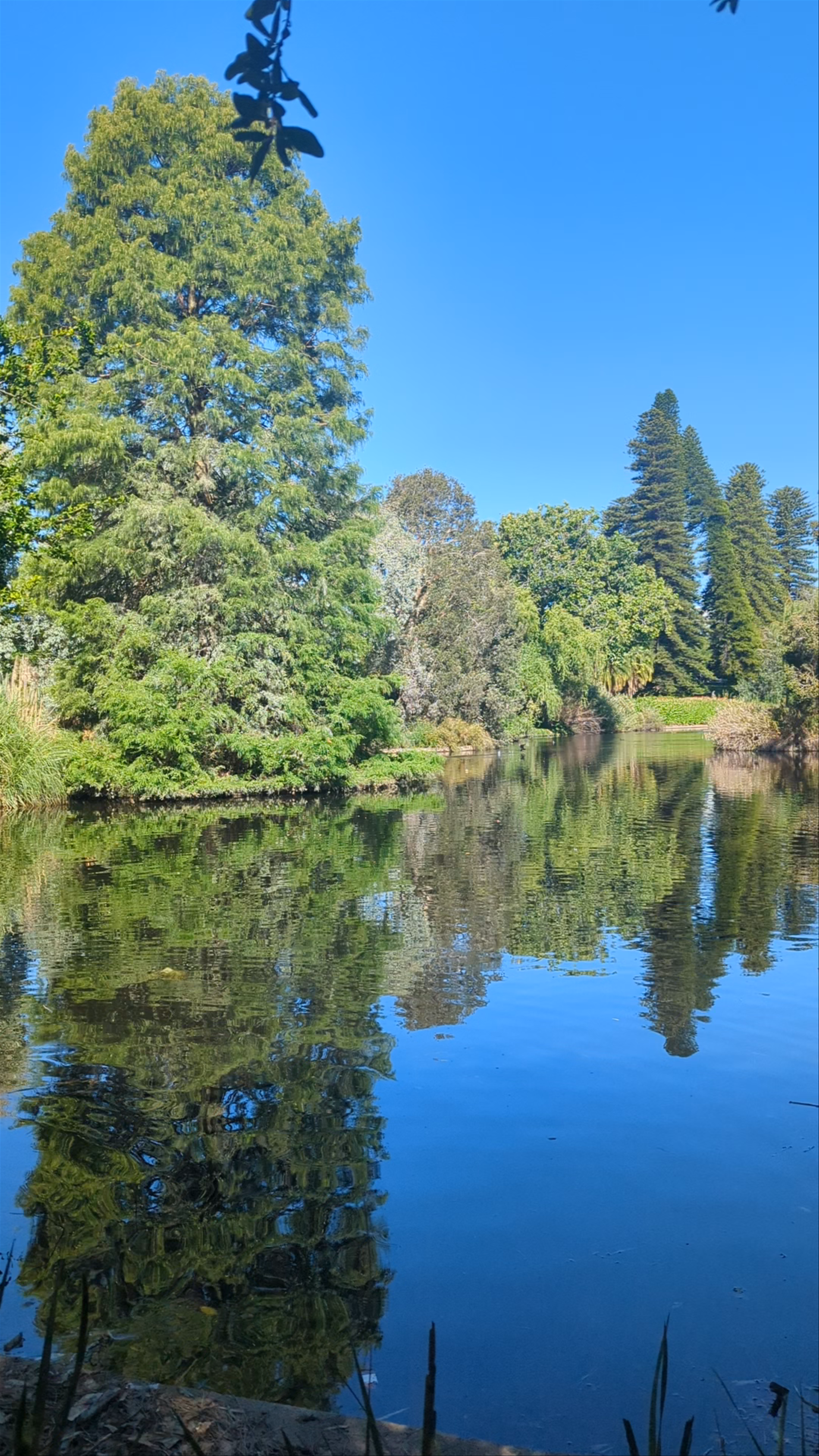 Adelaide Botanic Garden