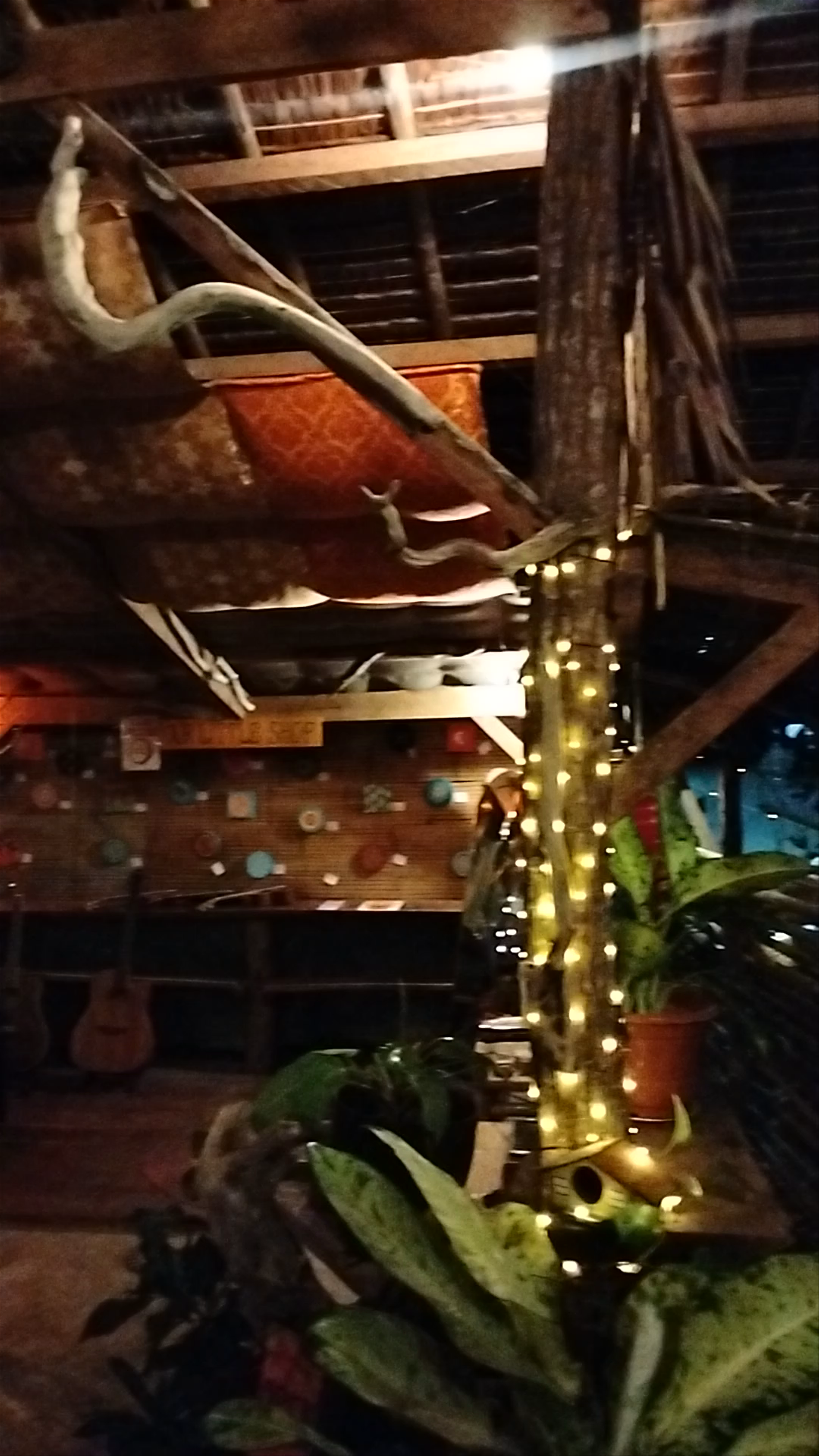 Wonderland Restaurant