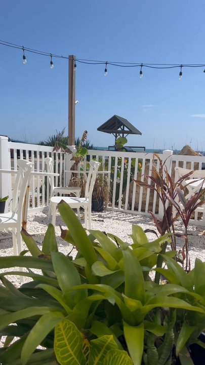Sip & Surf Coffee - Sip and Surf- coffee and a view, yes, please! - Coffee & Tea Near Me - Flagler Beach, Florida
