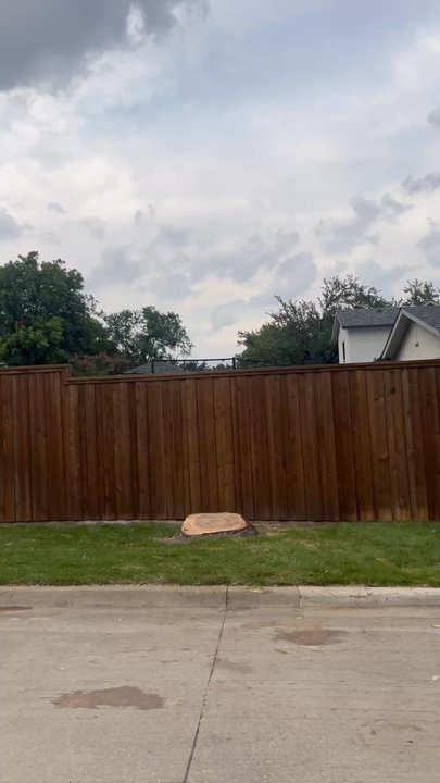Leo Tree Care - Tree Services Near Me