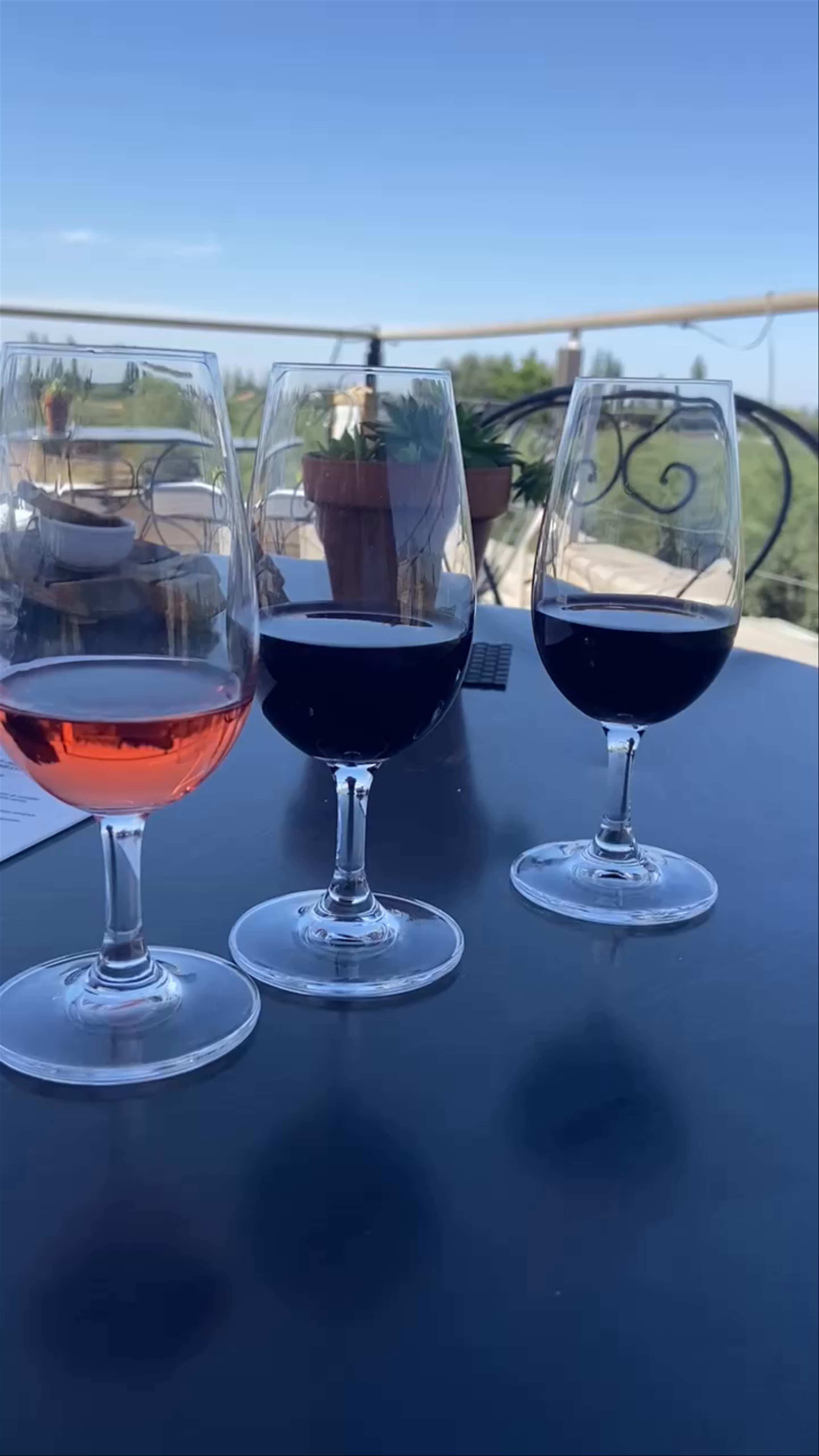 Wine Tasting Experience at Tempus Alba in Maipú, Mendoza