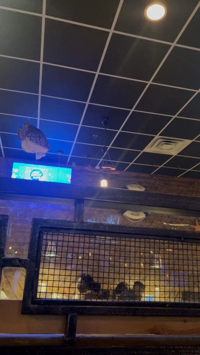 Crafty Crab - Seafood Near Me - Bensalem, Pennsylvania