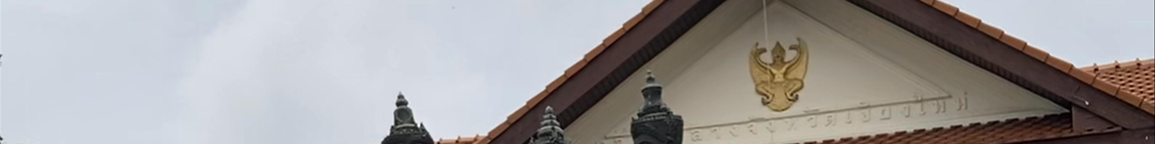 Tours & experiences in Chiang Mai
