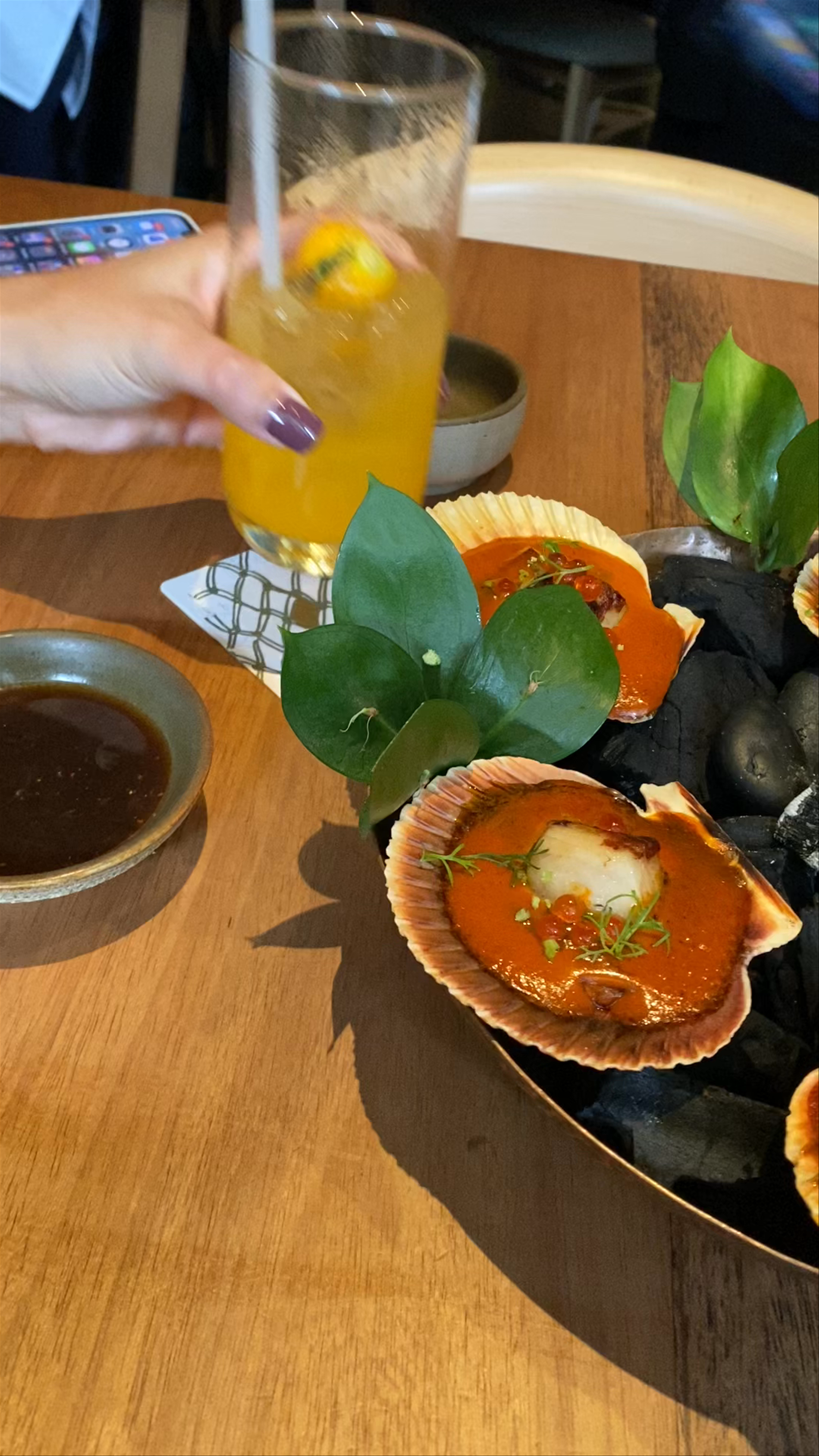 Osaka Pardo y Aliaga