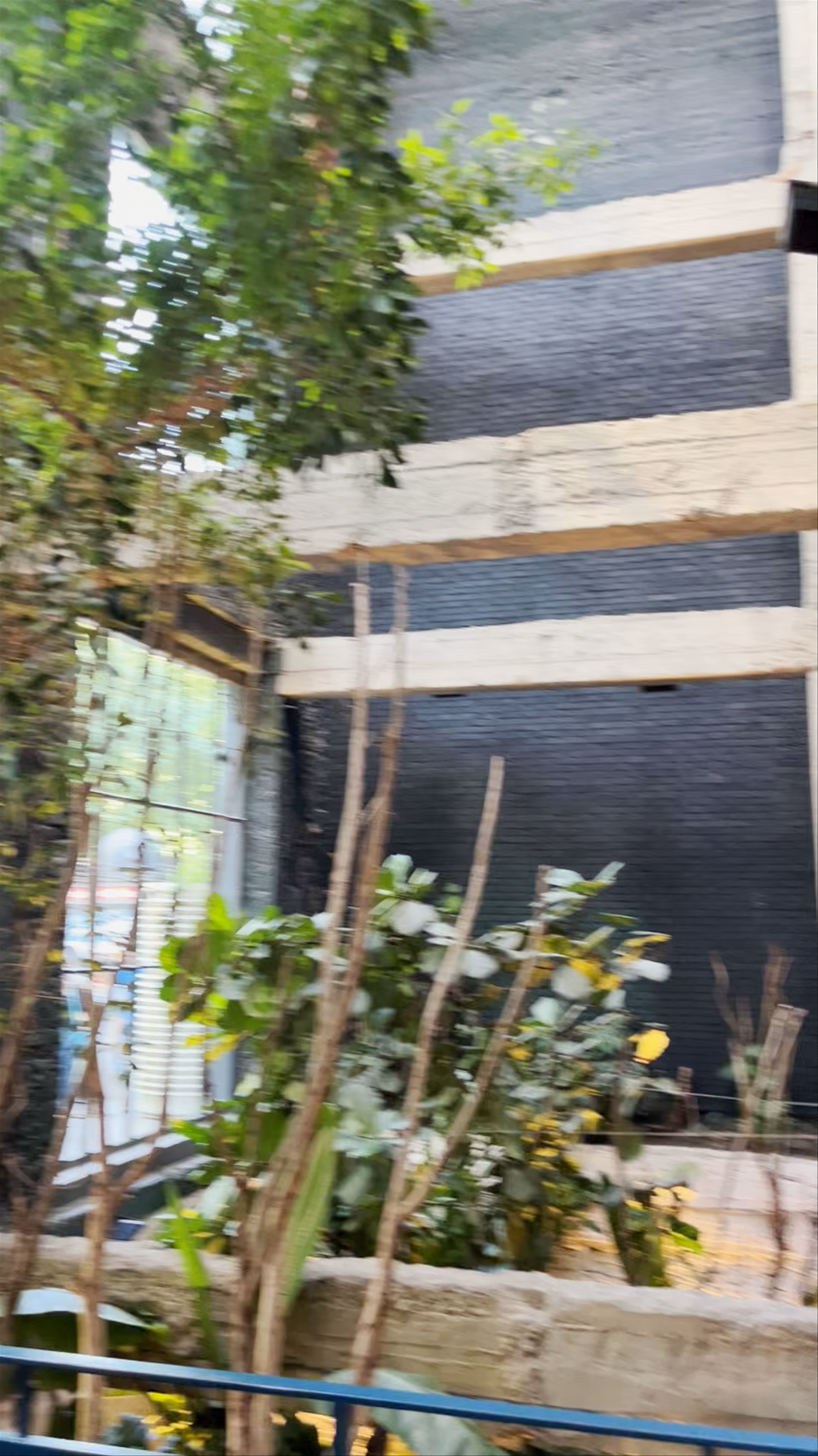 Stamba Hotel: Urban Jungle Library Experience in Tbilisi
