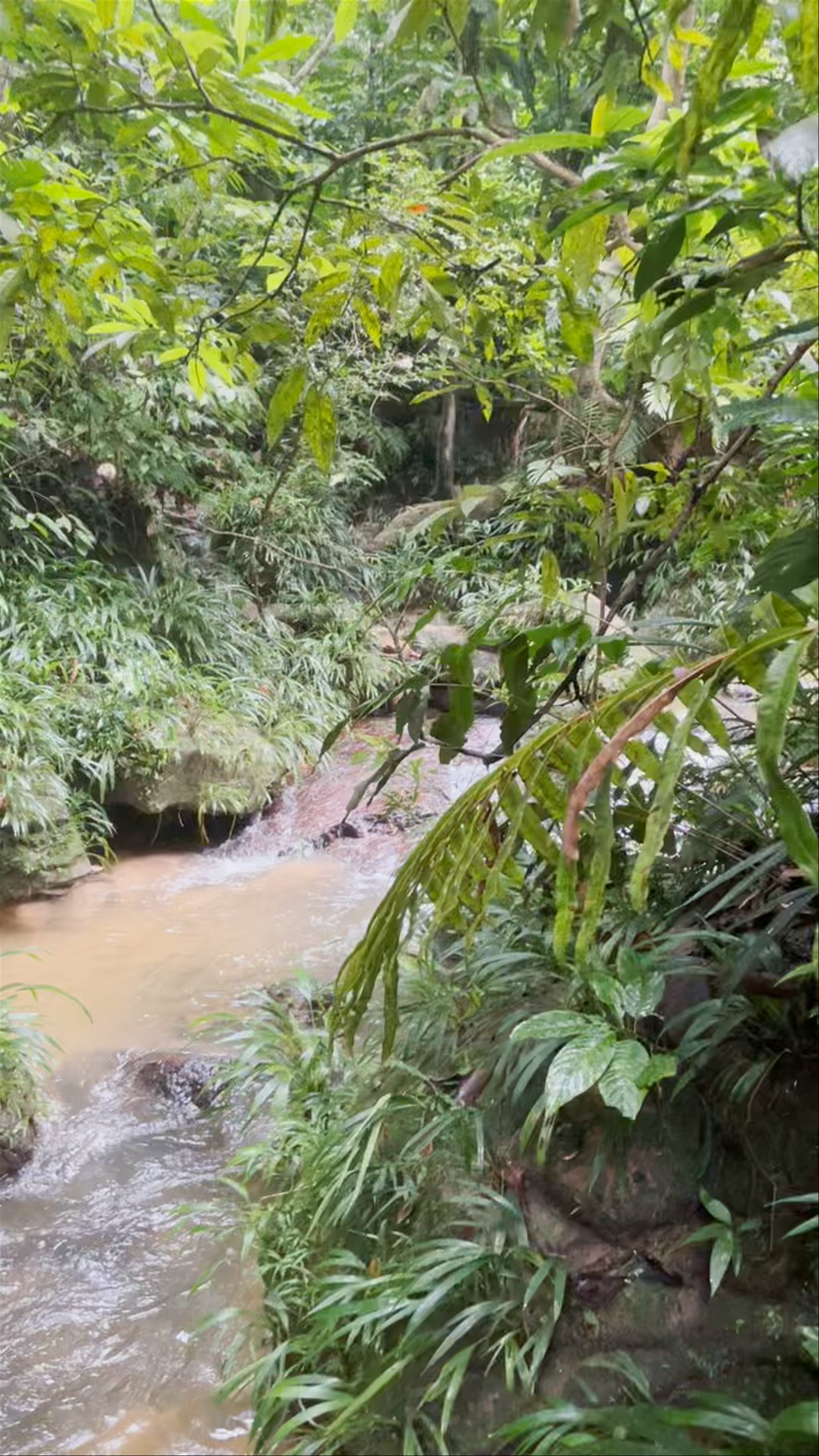Cascada la Telaraña