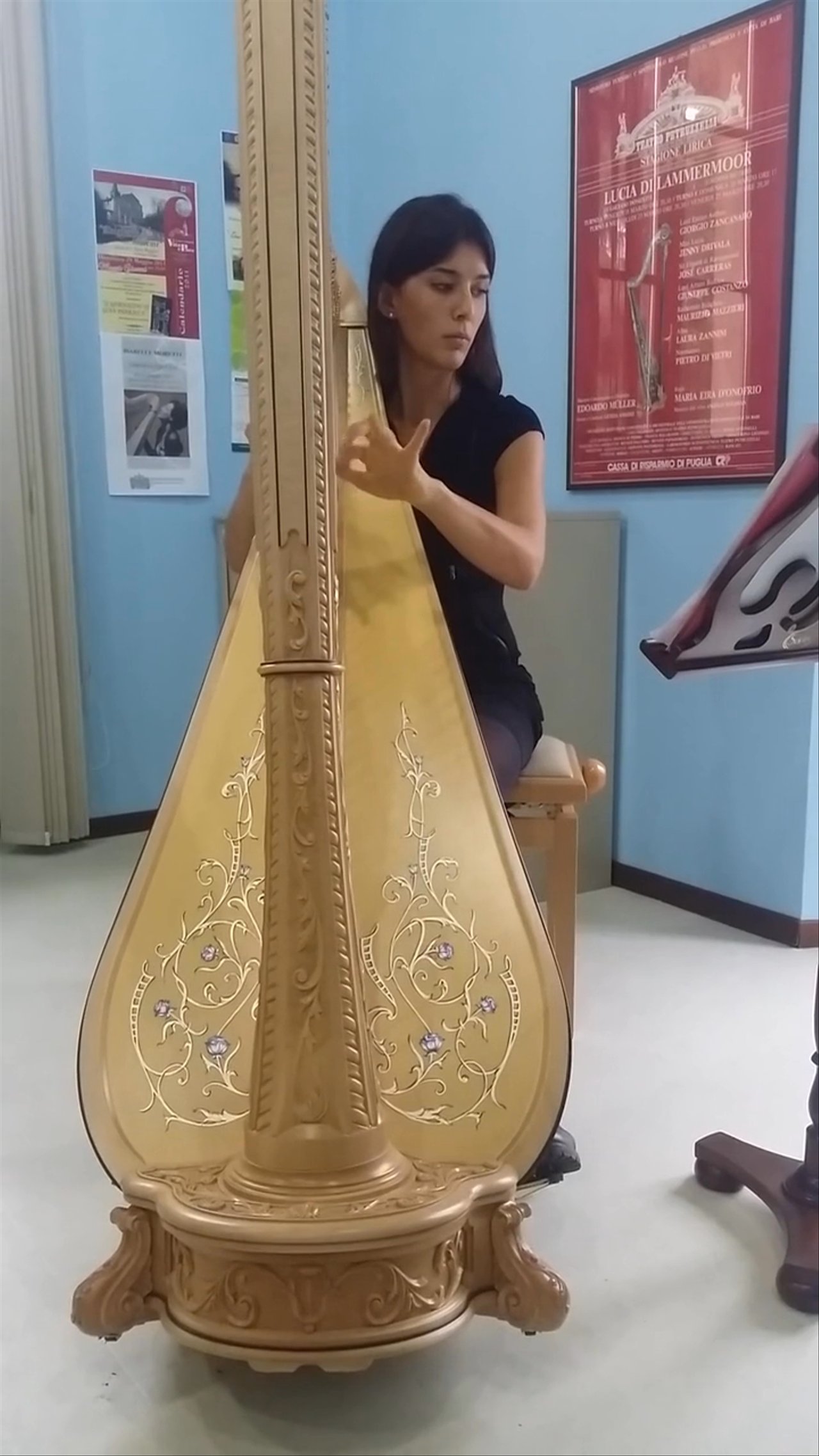 Sofi Harpist - Fratello Sole - video