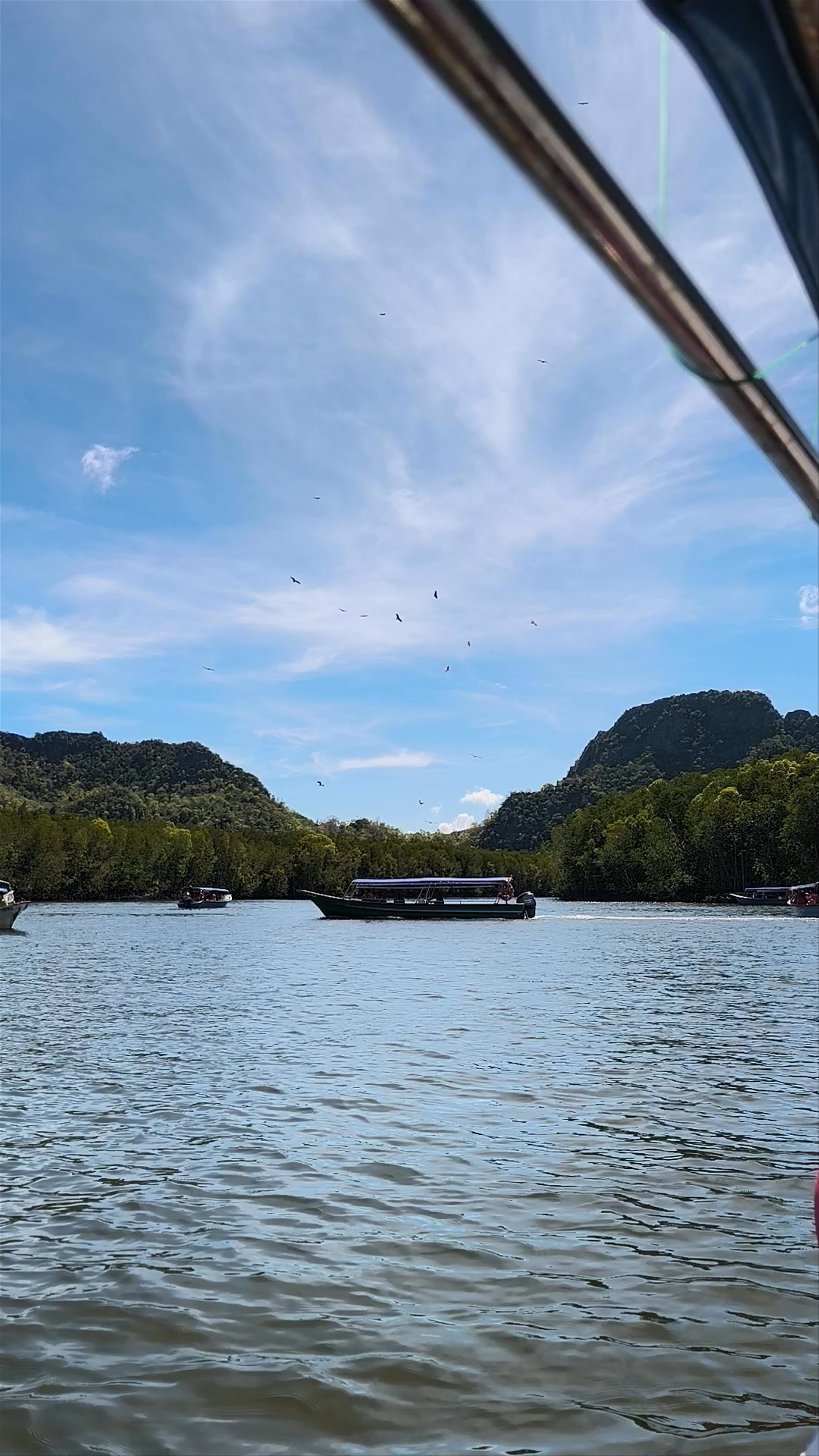 Tanjung Rhu Mangrove Eagle Viewing, Langkawi