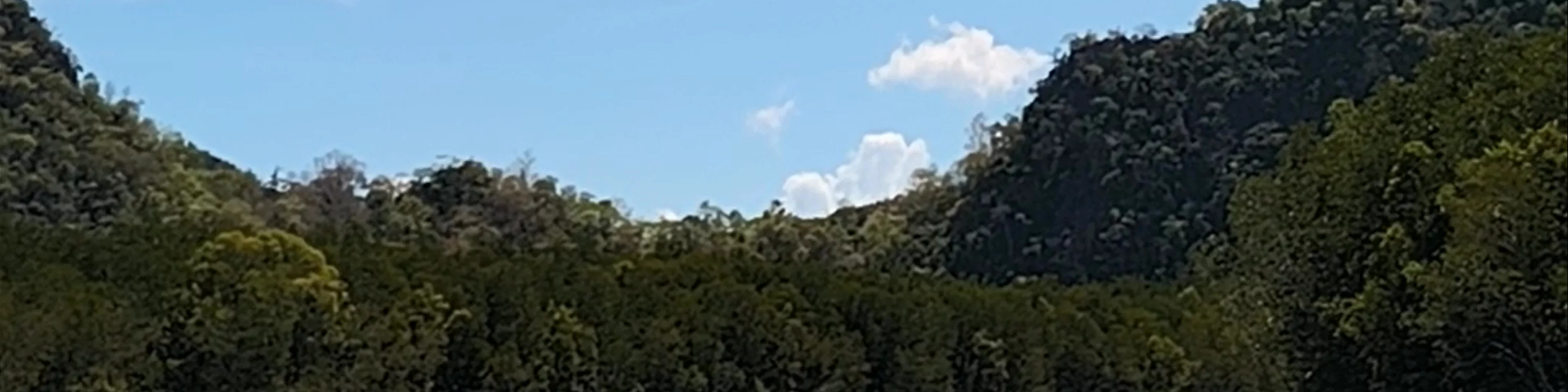 Tanjung Rhu Mangrove Eagle Viewing