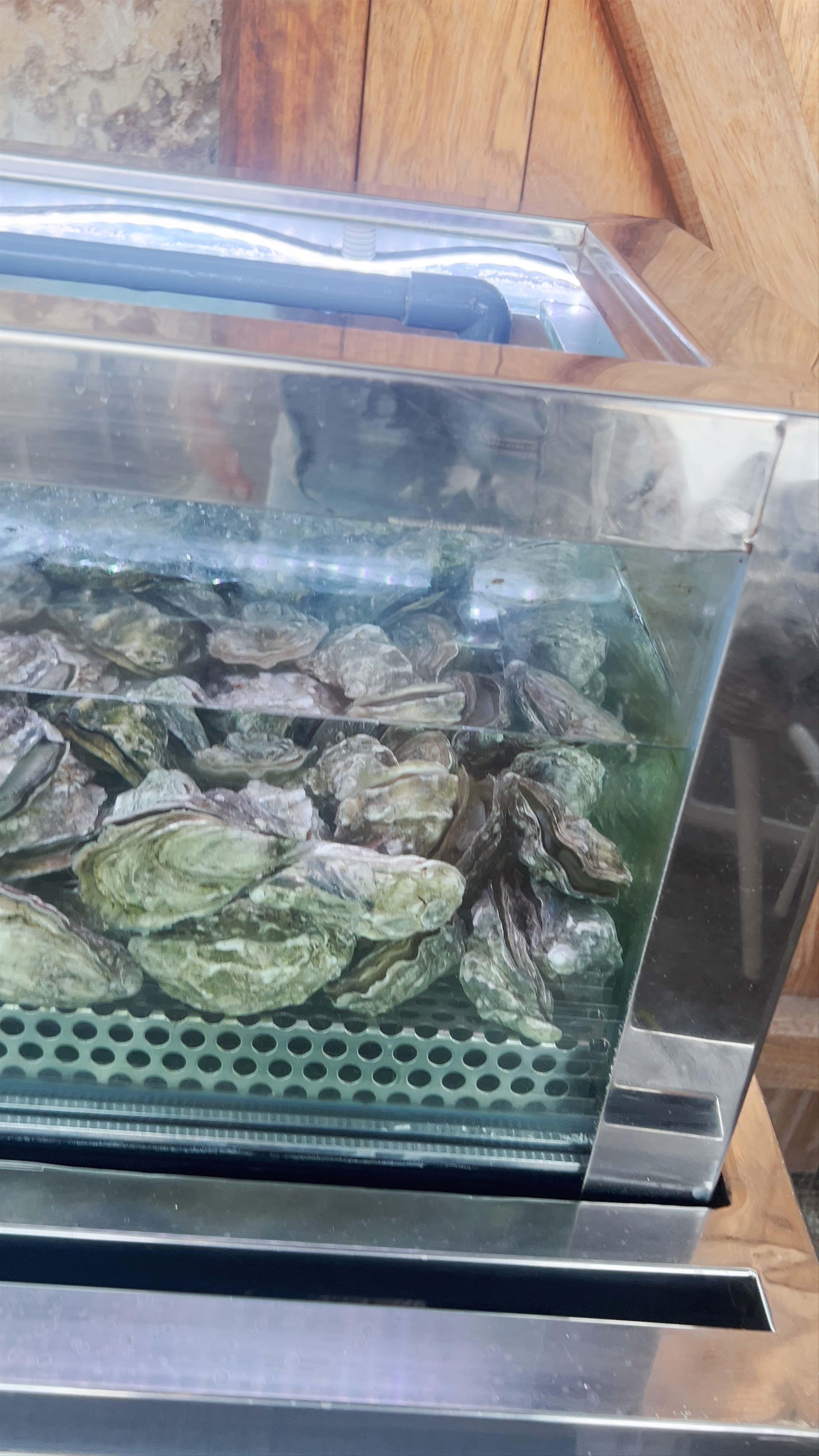 Fresh Seafood Display at Sail At Castle, Paphos Harbour