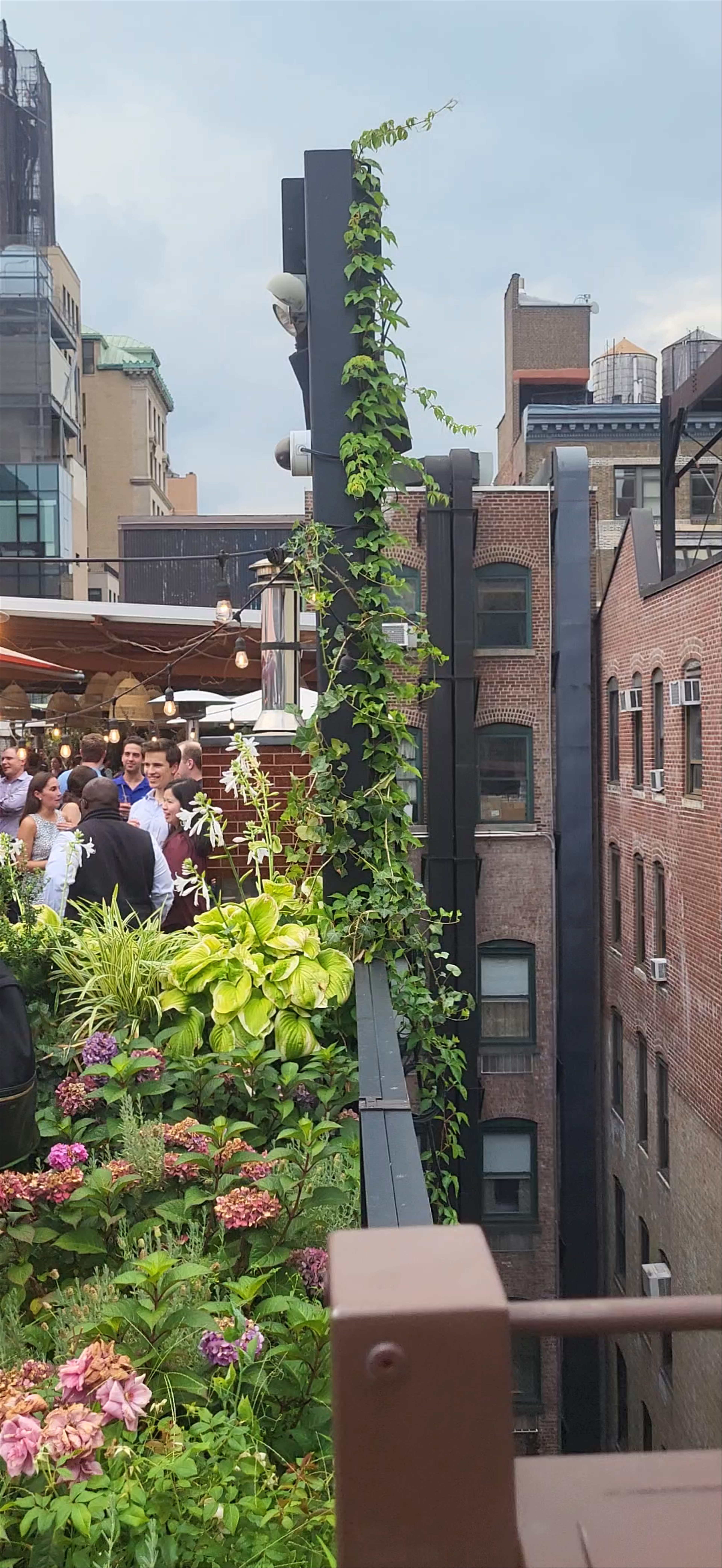 Rooftop Gathering in New York City: Urban Garden Social Vibes
