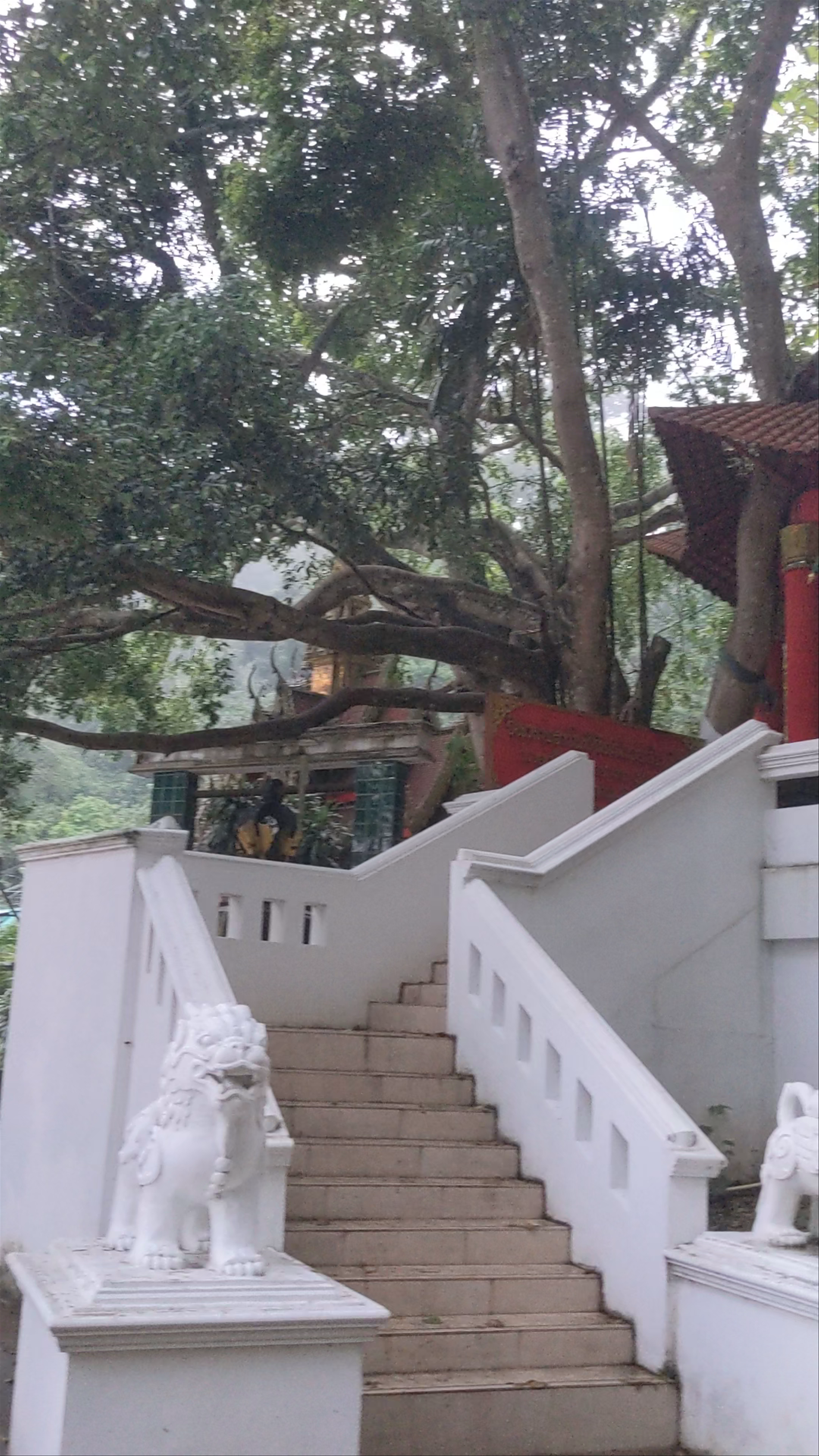 Wat Phra That Doi Kham
